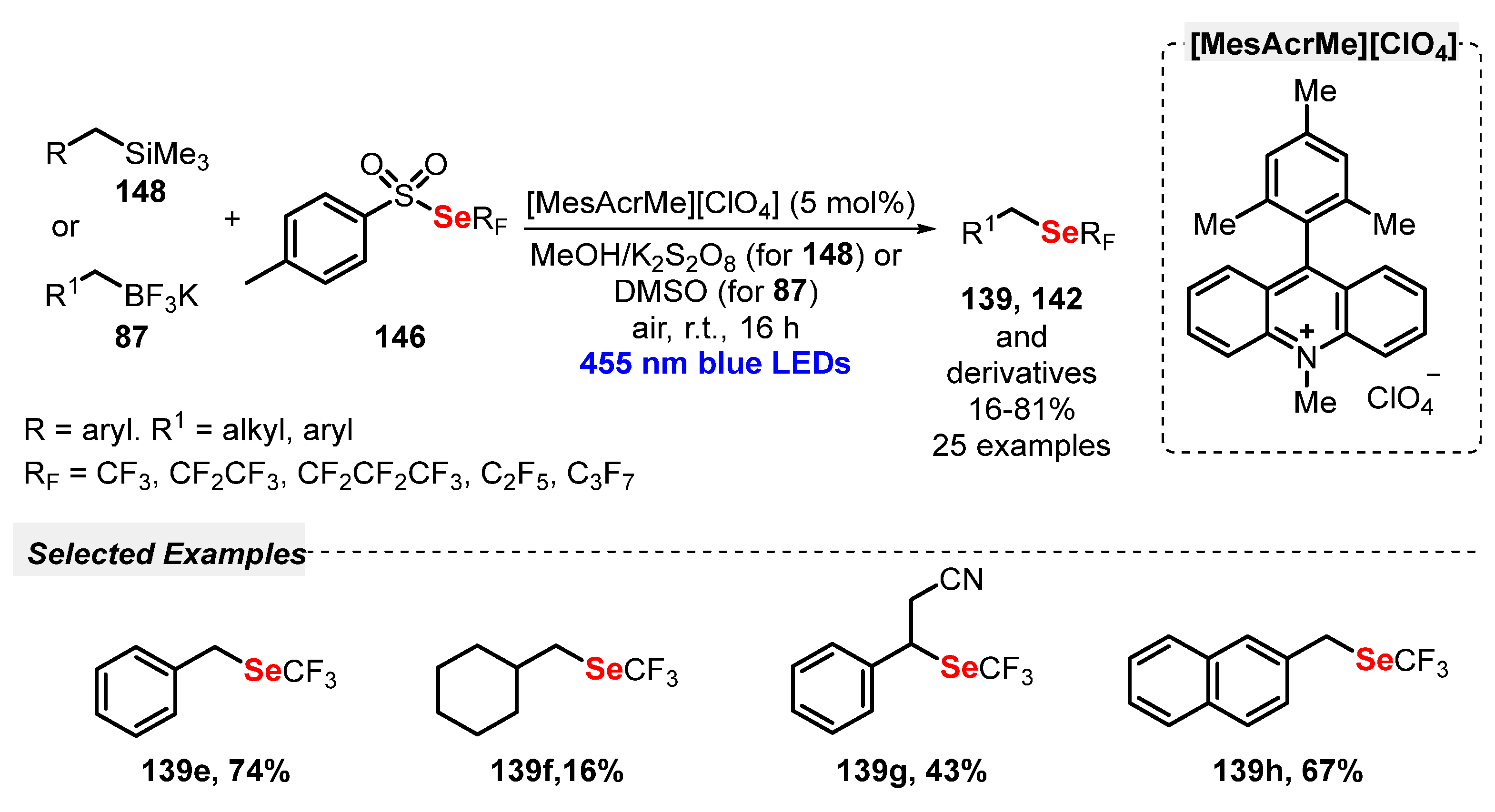 Catalysts 13 00520 sch083