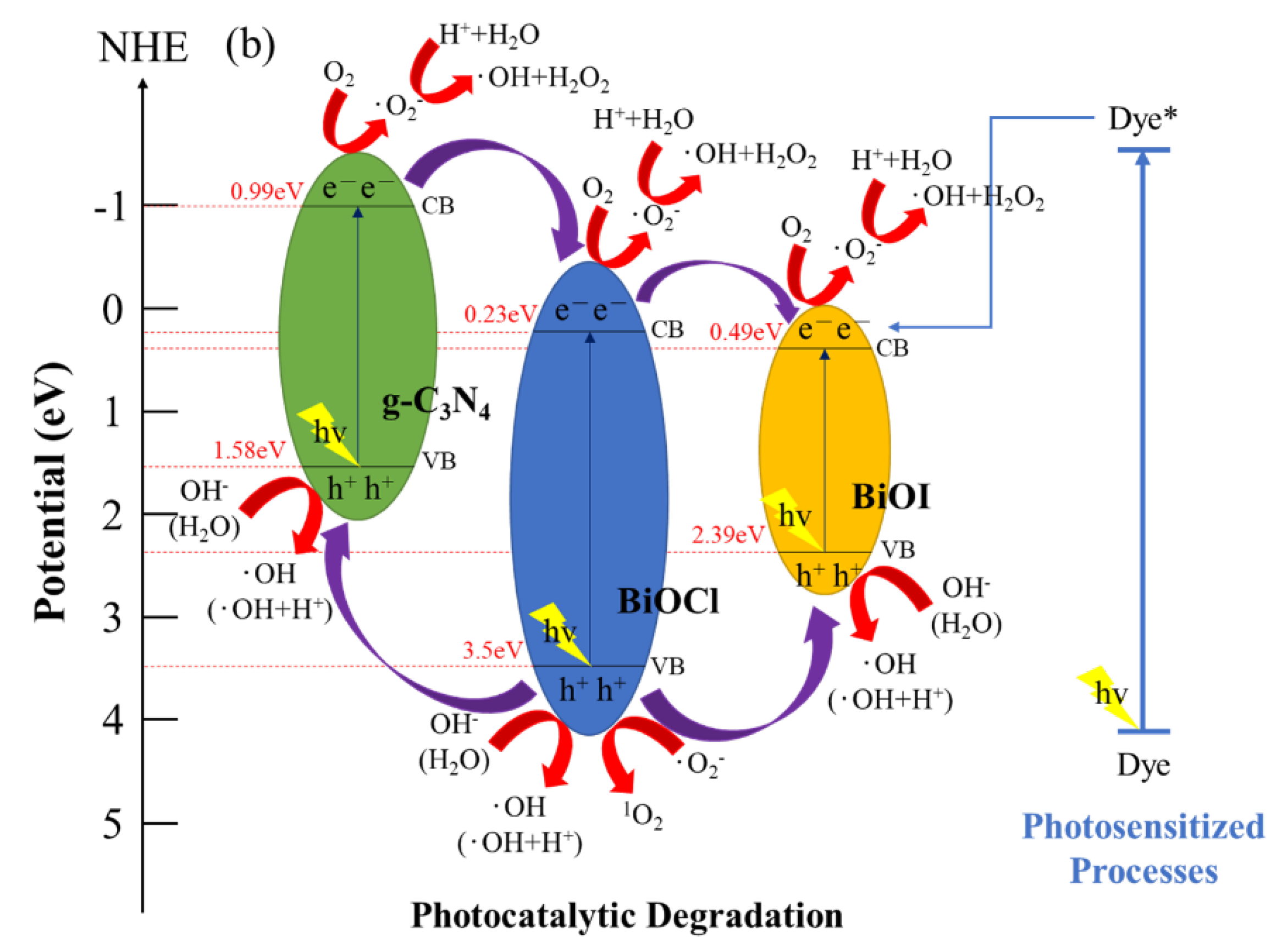 Catalysts 13 00522 g013b
