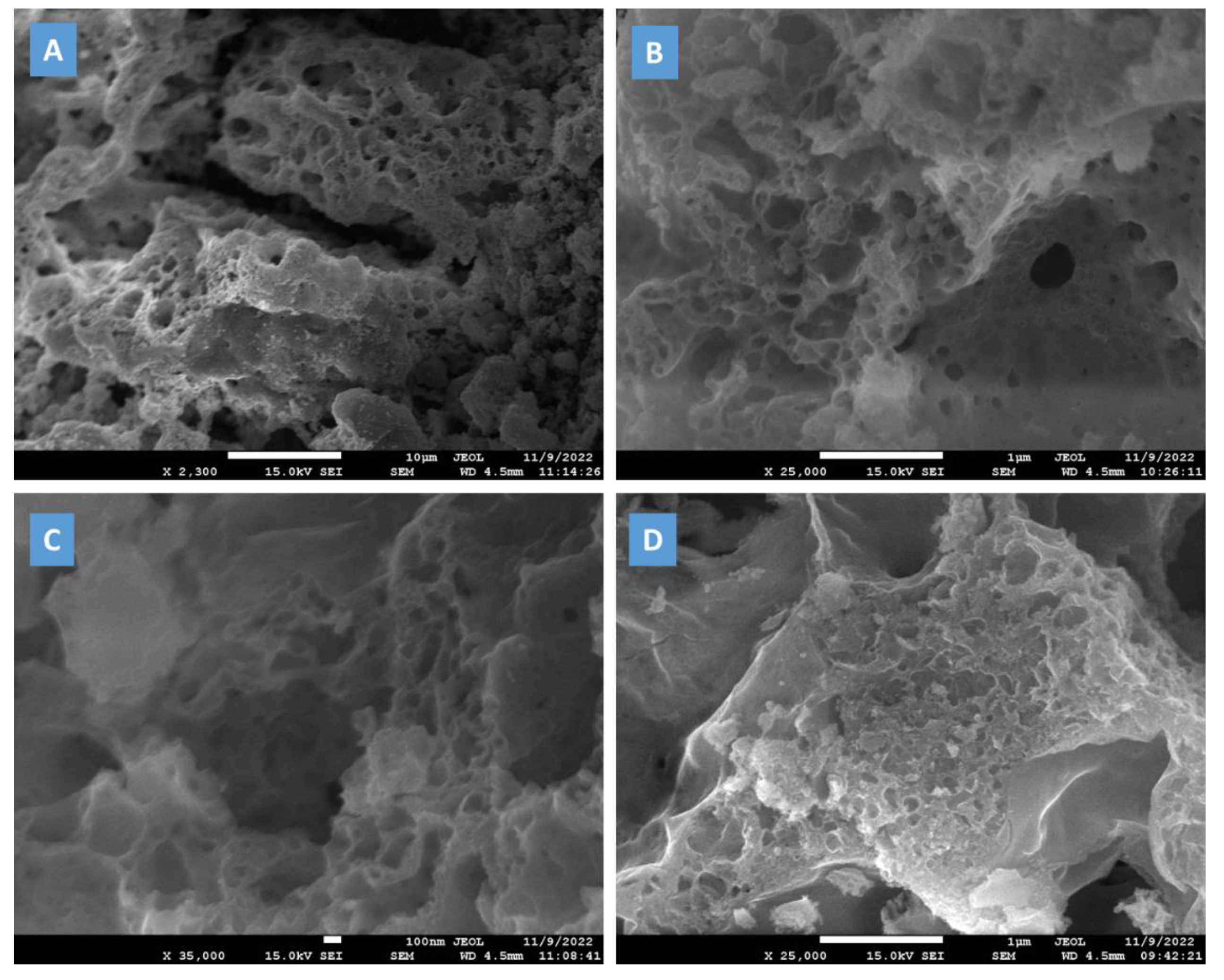 Catalysts 13 00523 g004