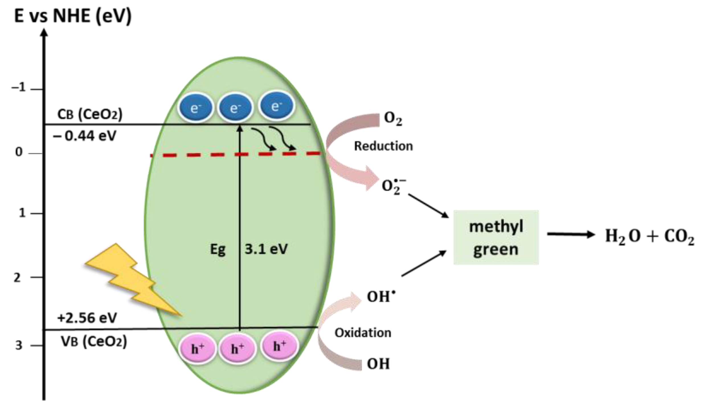 Catalysts 13 00523 g012