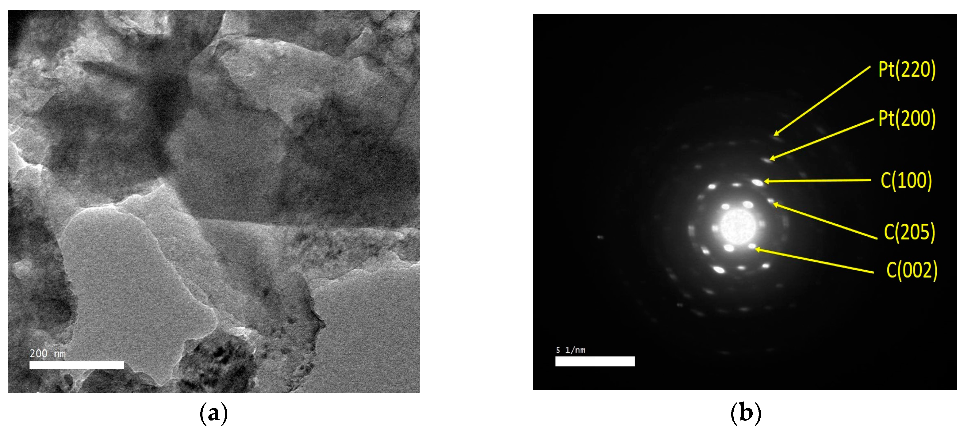 Catalysts 13 00525 g002