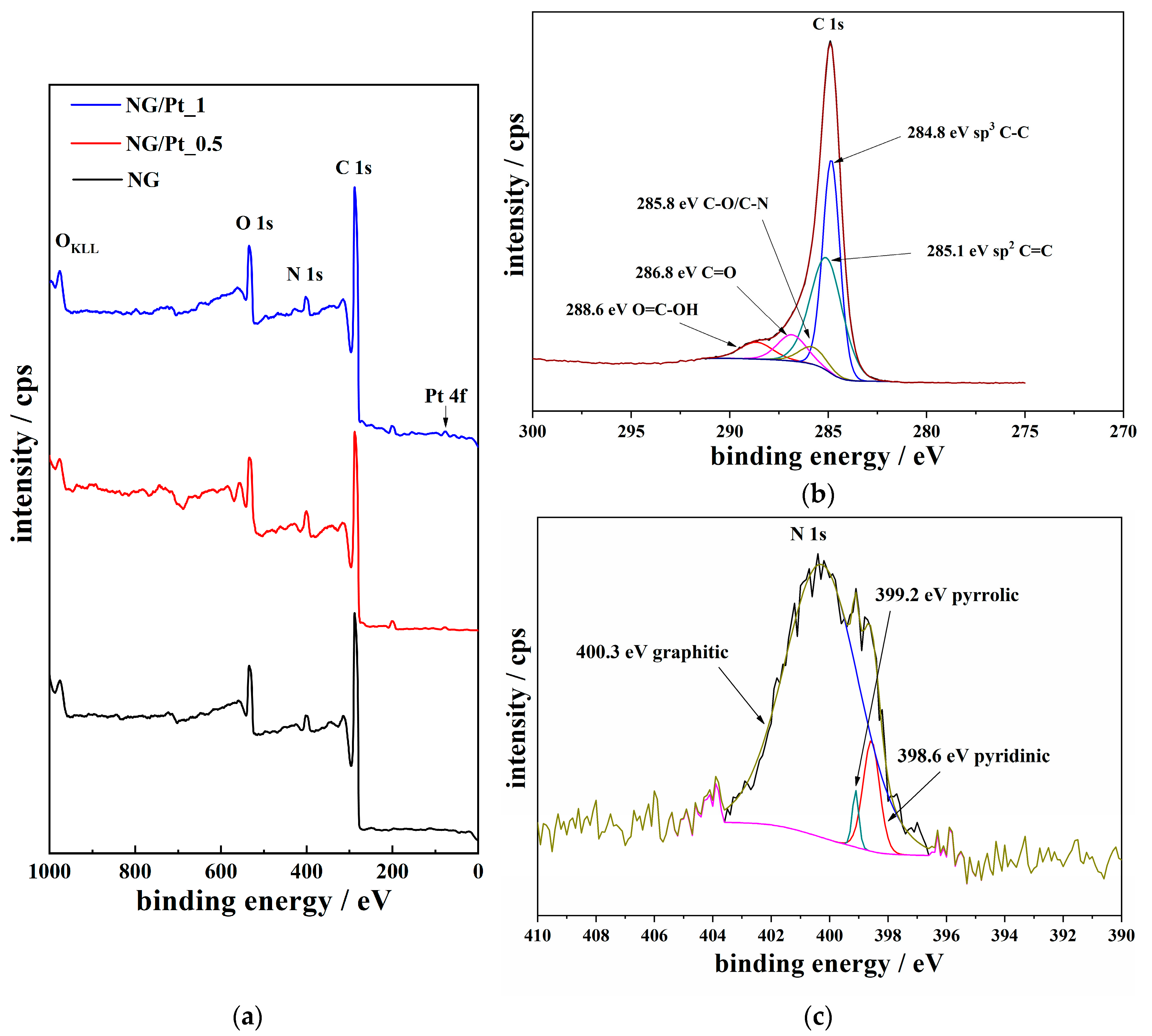 Catalysts 13 00525 g003