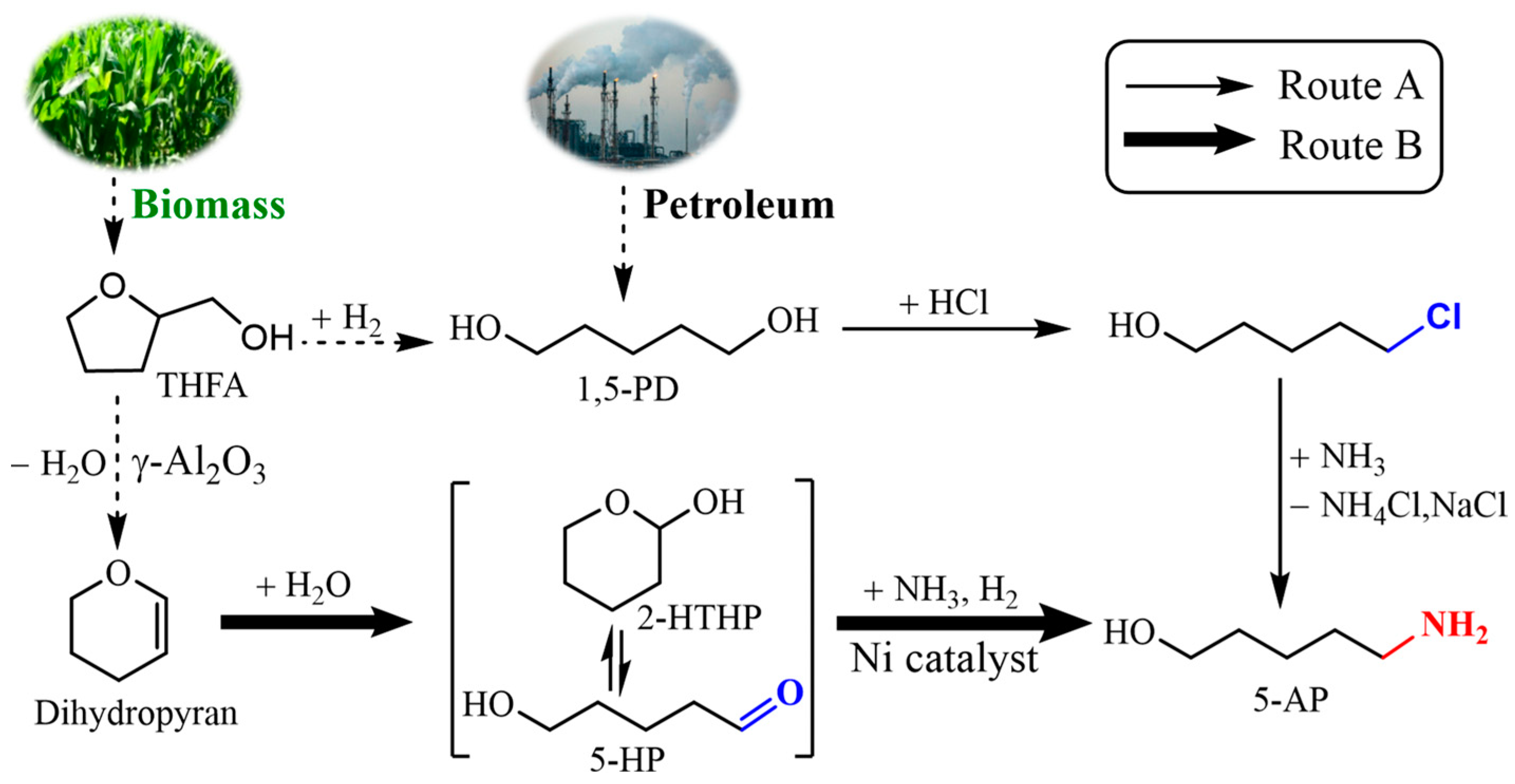 Catalysts 13 00528 g005