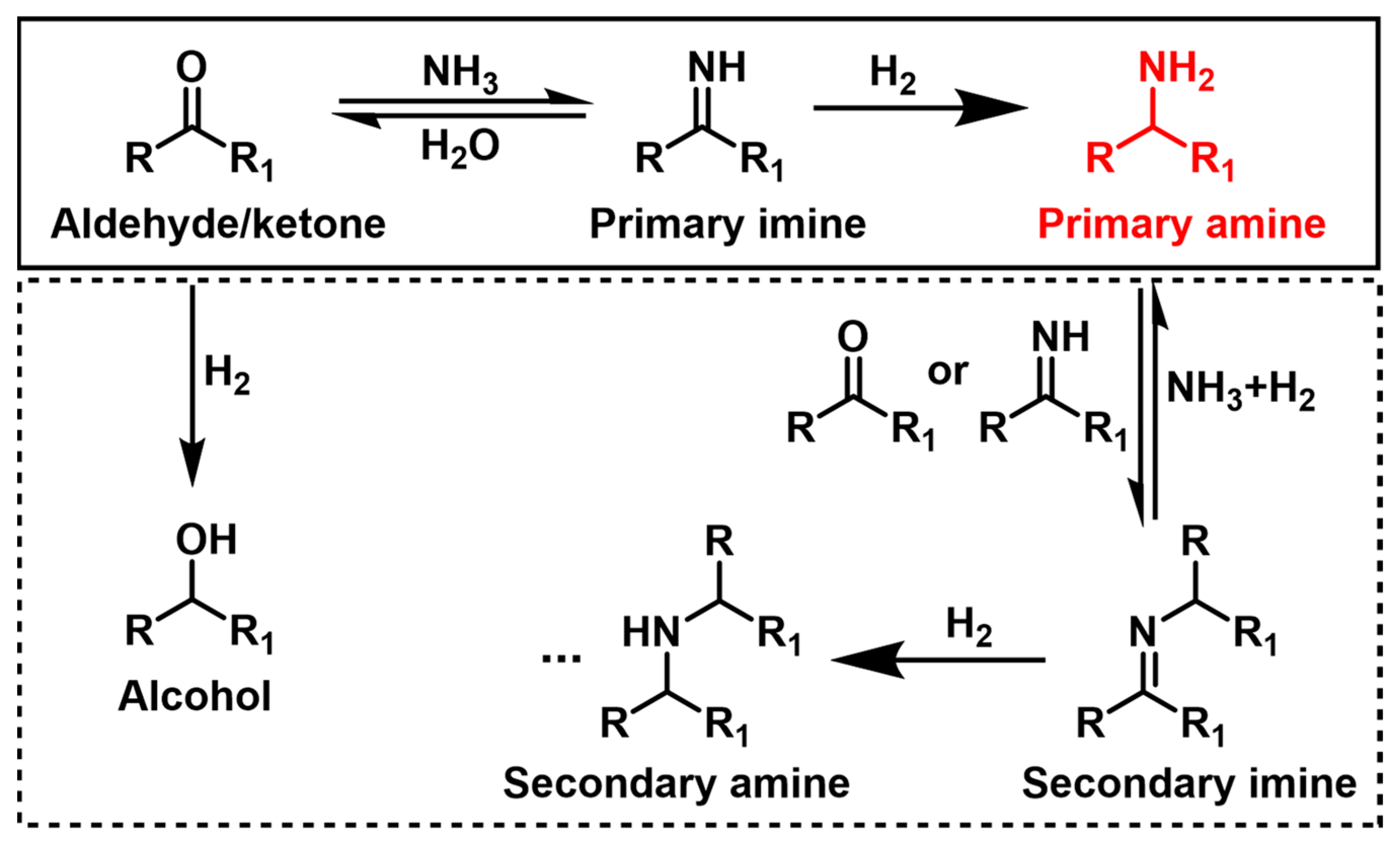 Catalysts 13 00528 sch001