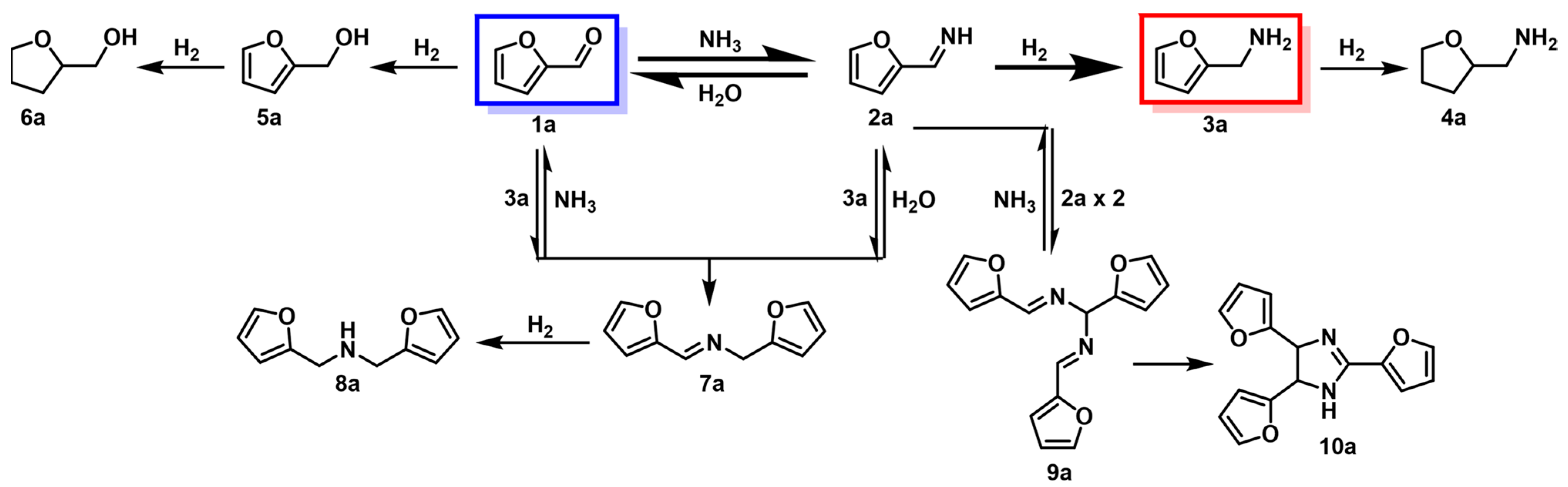 Catalysts 13 00528 sch002