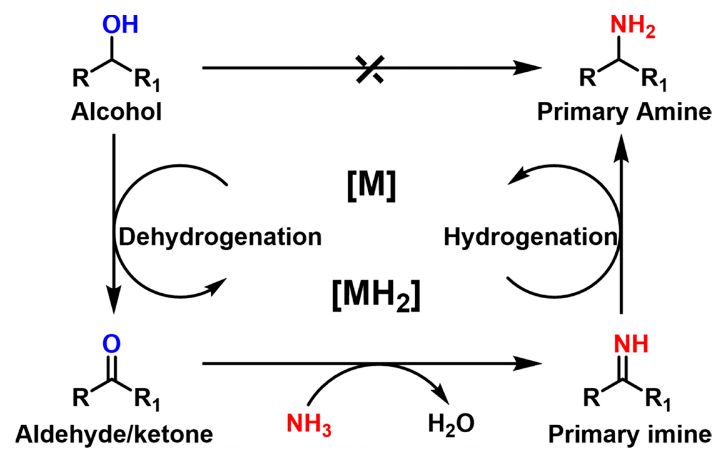 Catalysts 13 00528 sch005