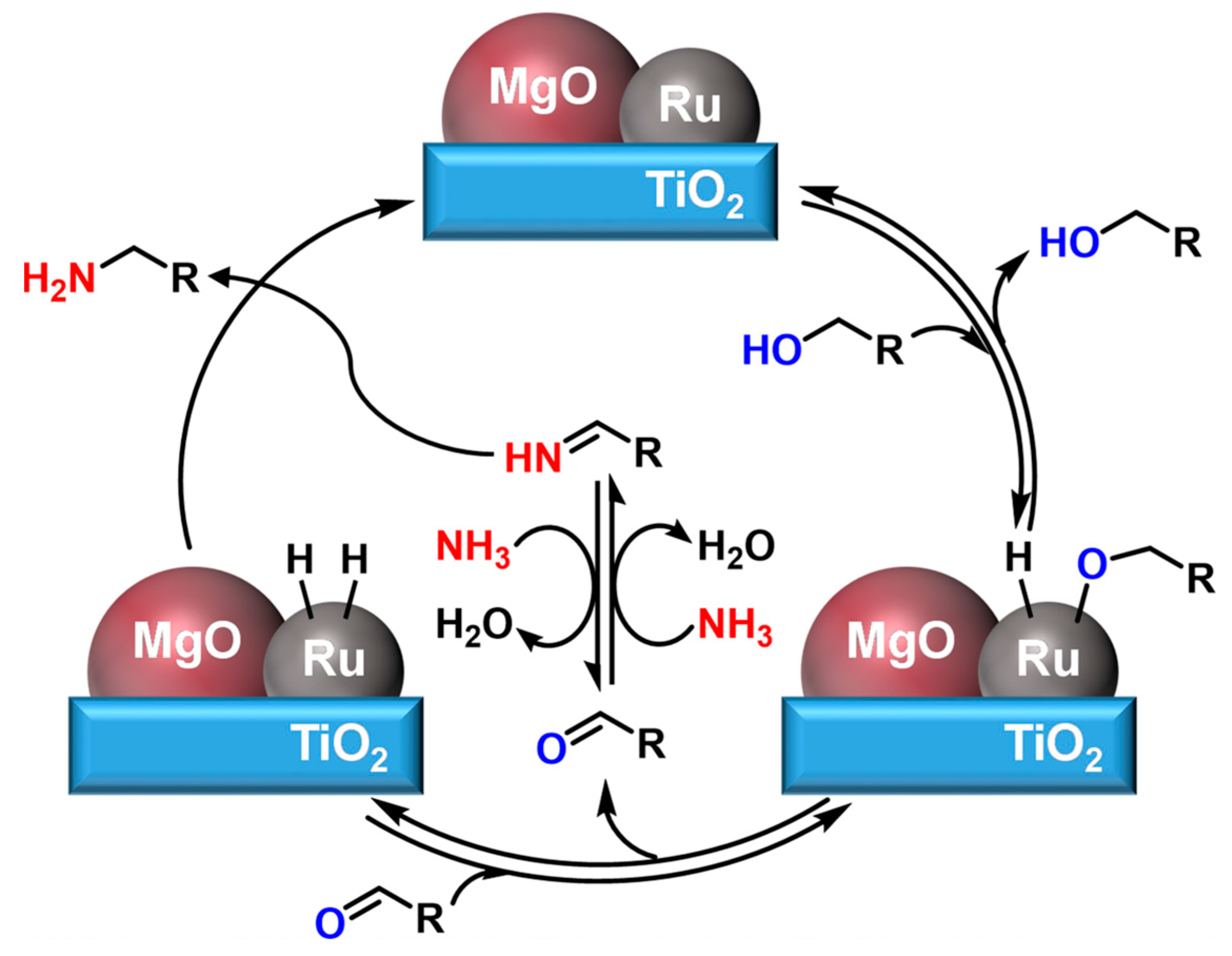 Catalysts 13 00528 sch006