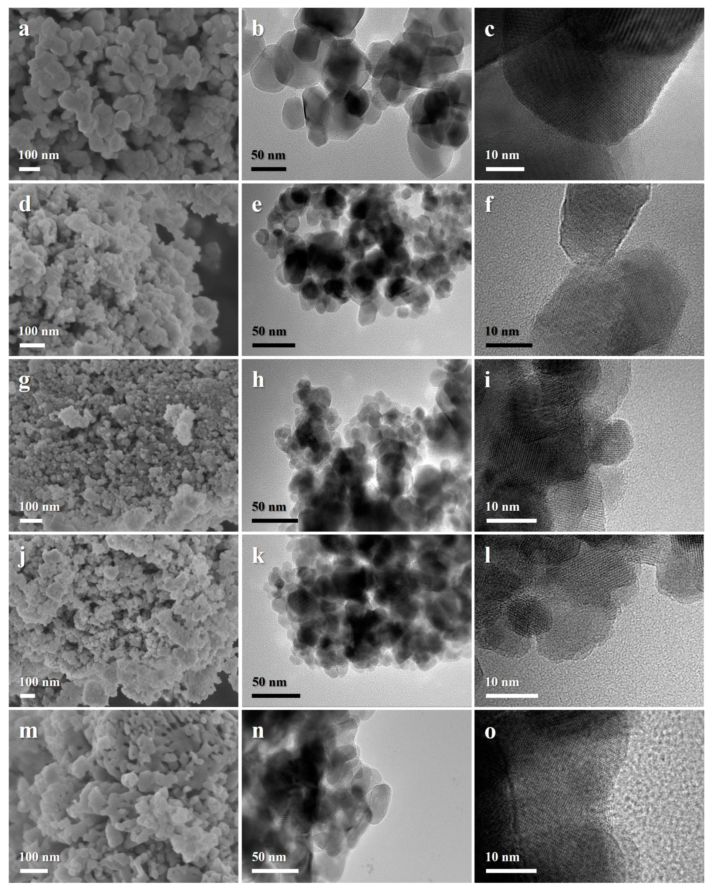 Catalysts 13 00529 g001