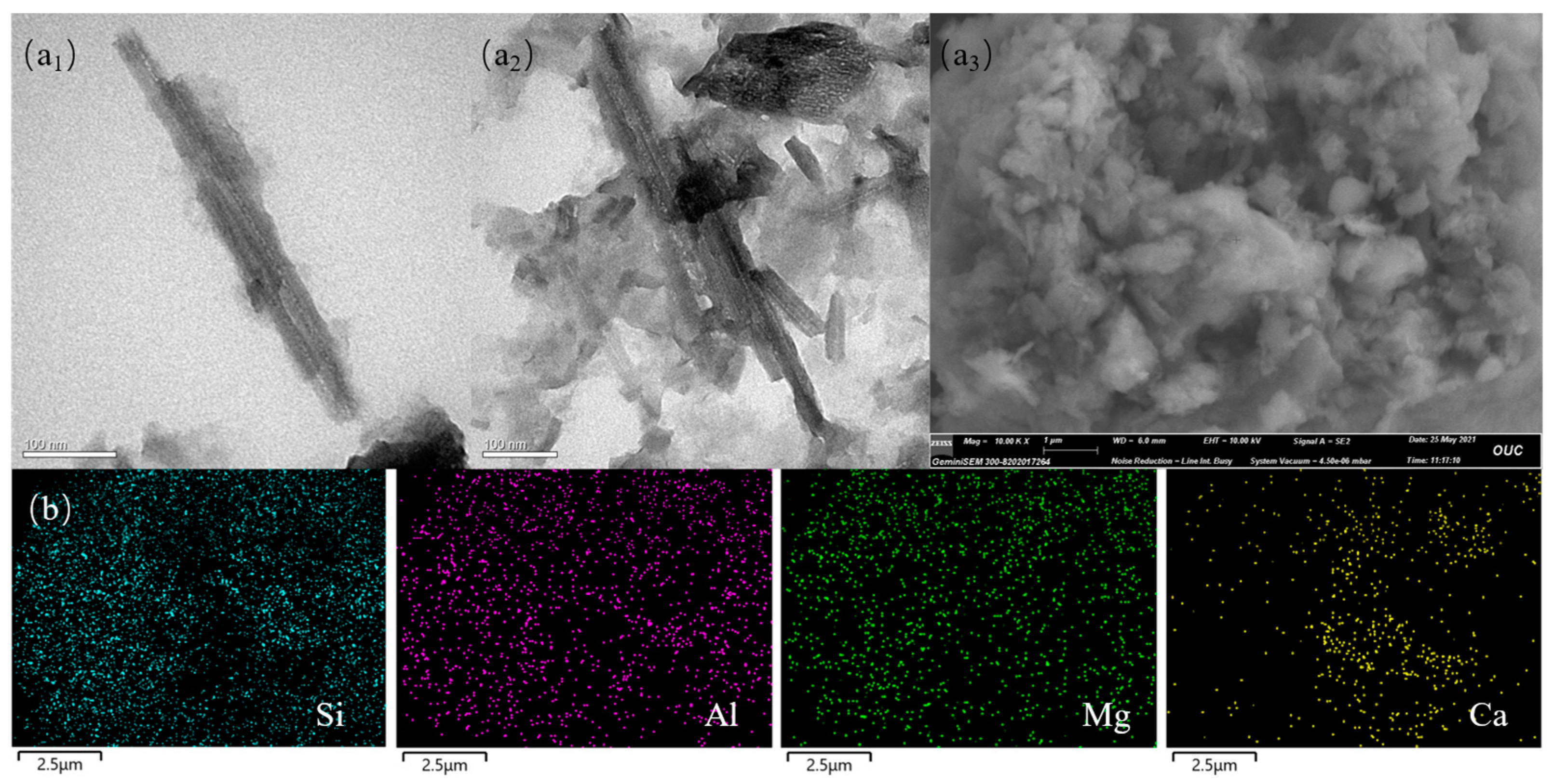 Catalysts 13 00530 g001