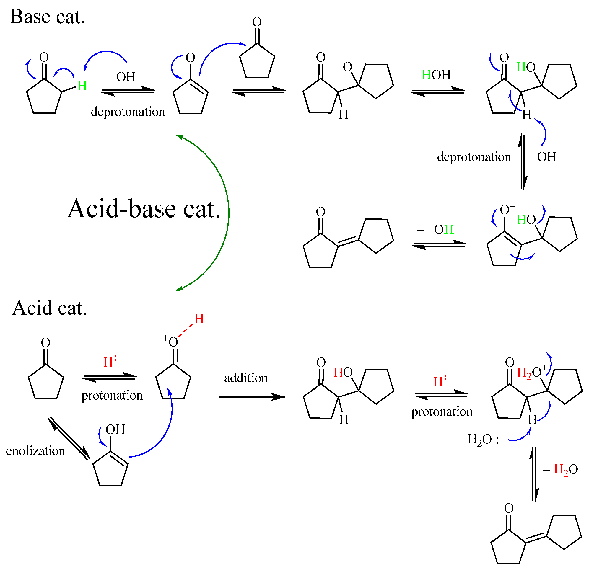 Catalysts 13 00530 g006