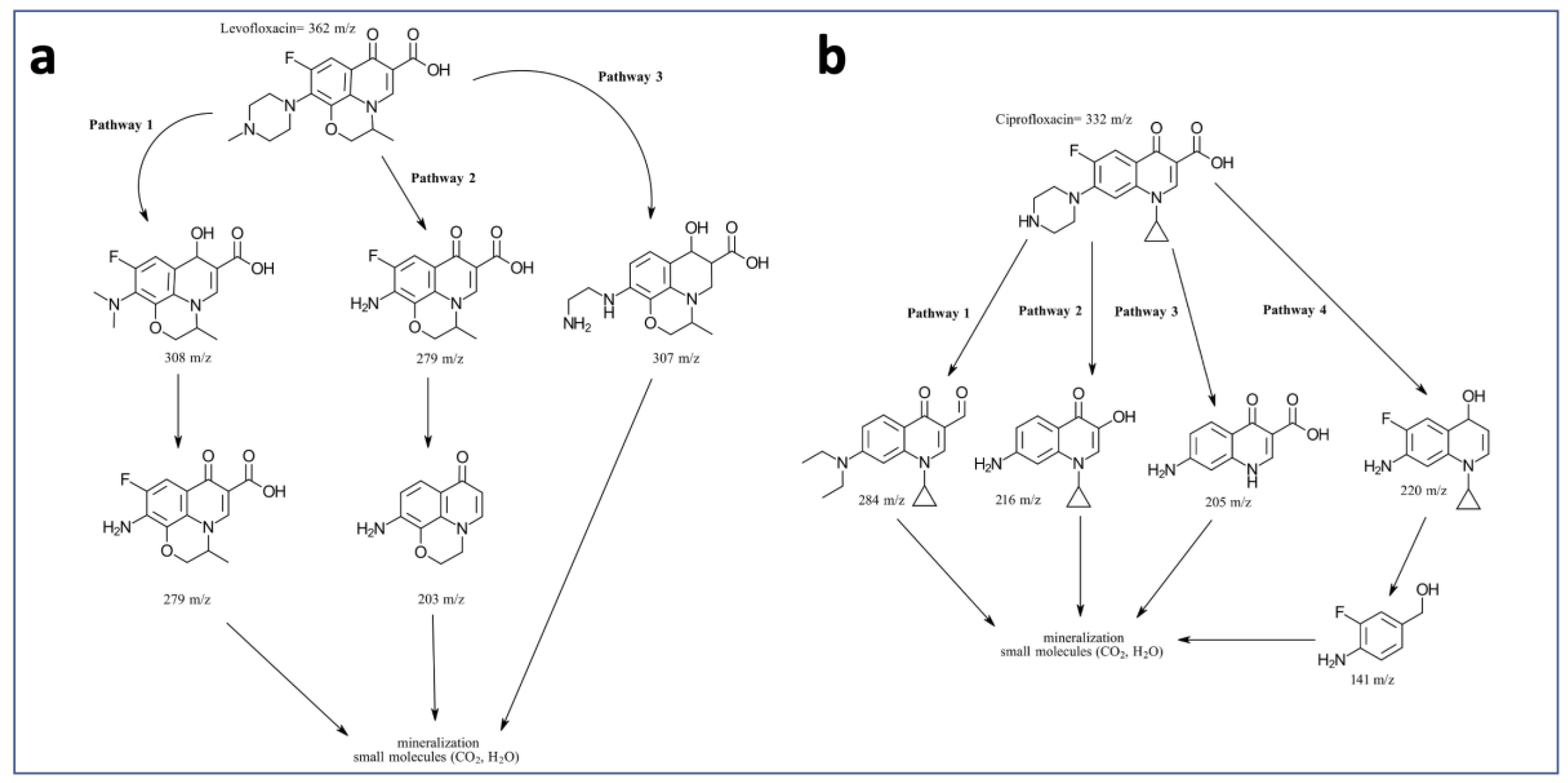 Catalysts 13 00538 g008