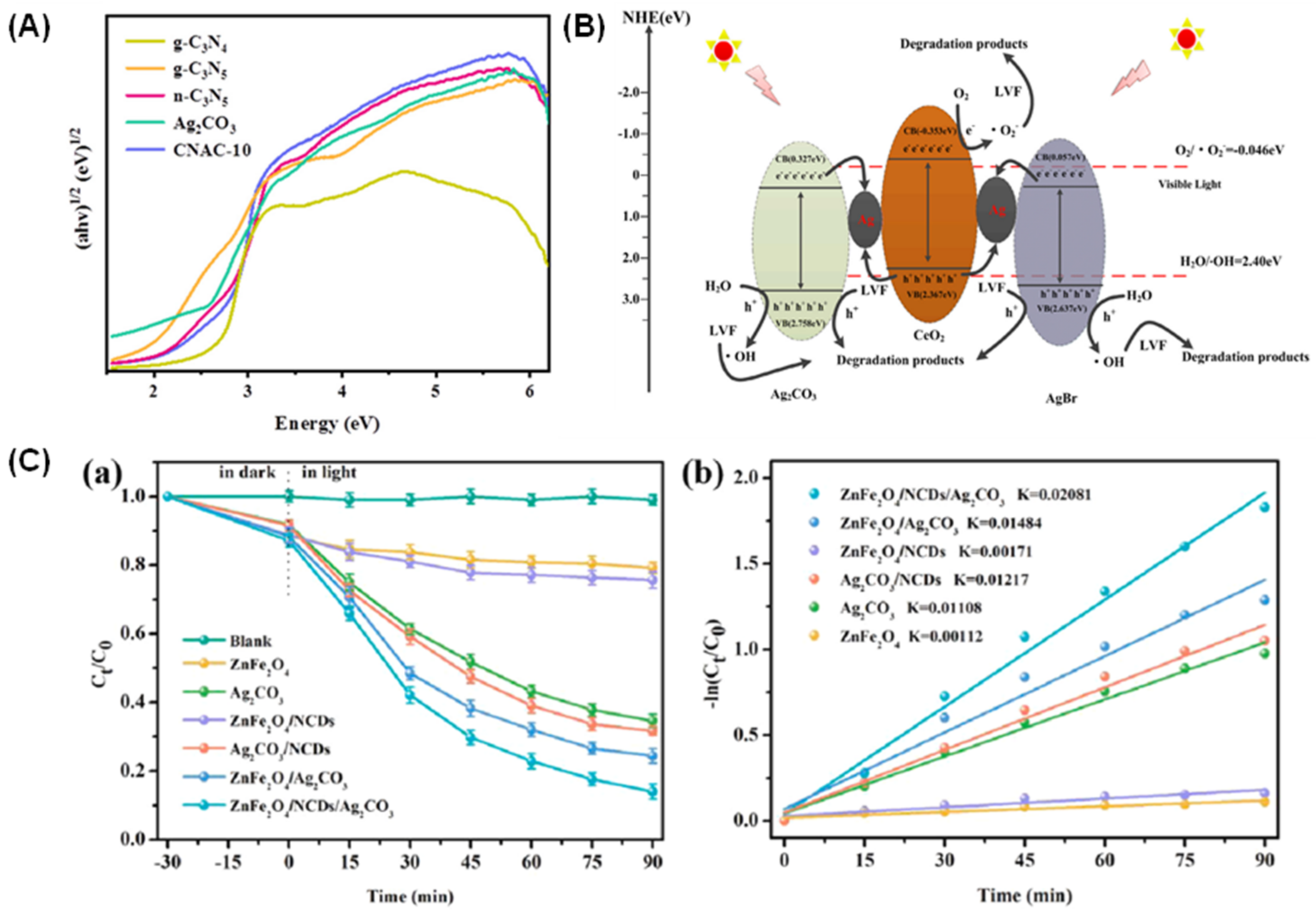 Catalysts 13 00540 g007