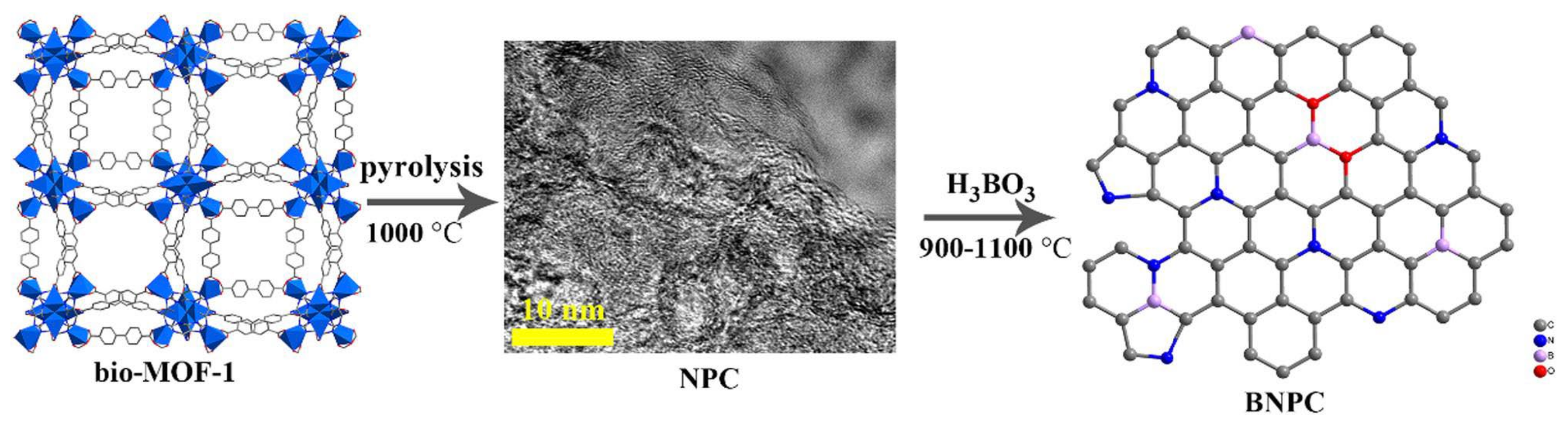 Catalysts 13 00541 sch002
