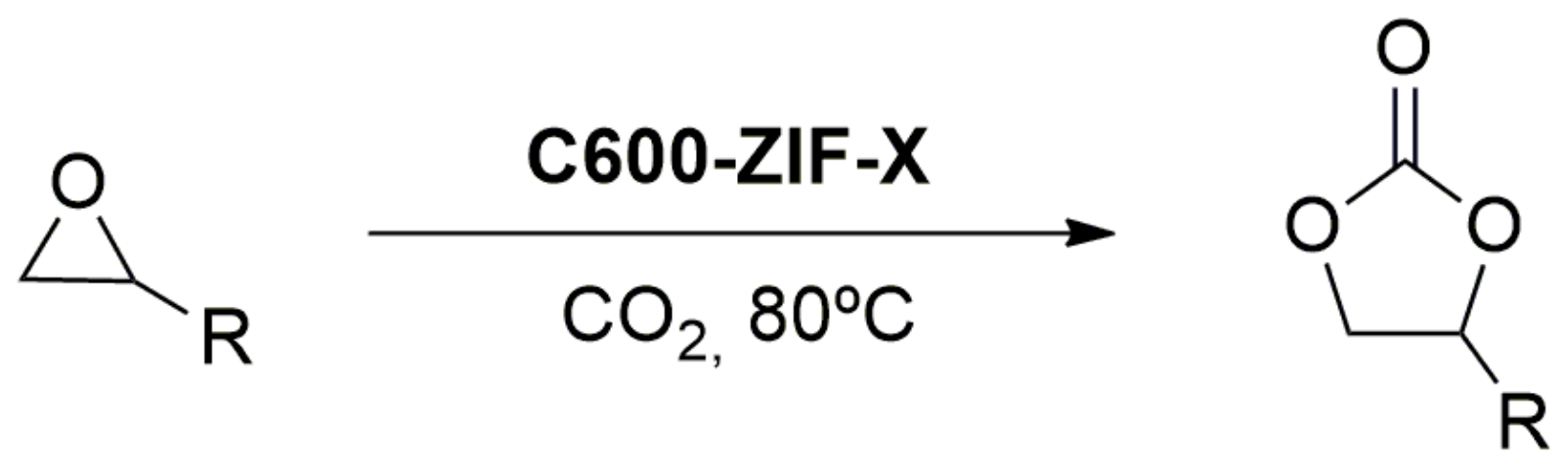Catalysts 13 00541 sch015
