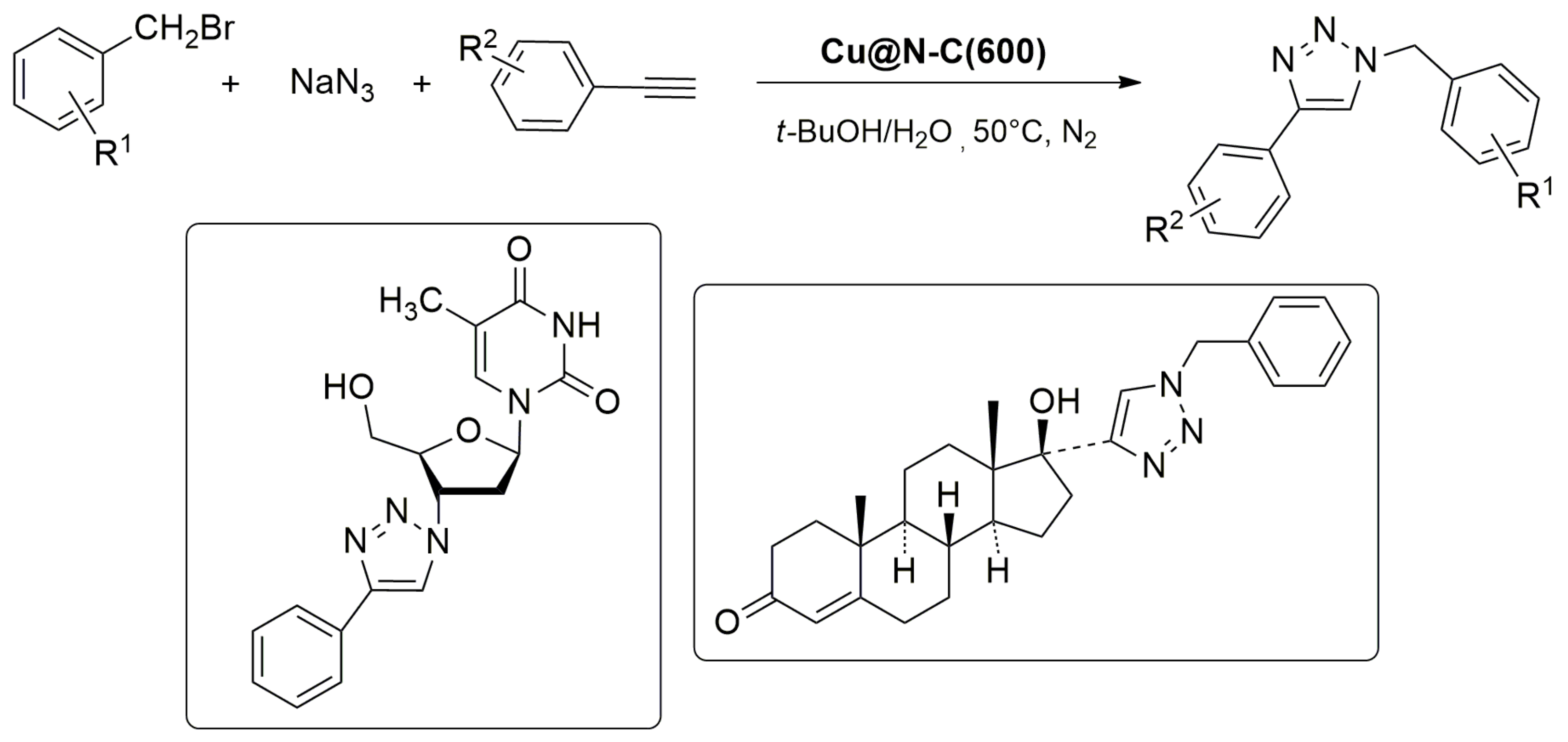 Catalysts 13 00541 sch016