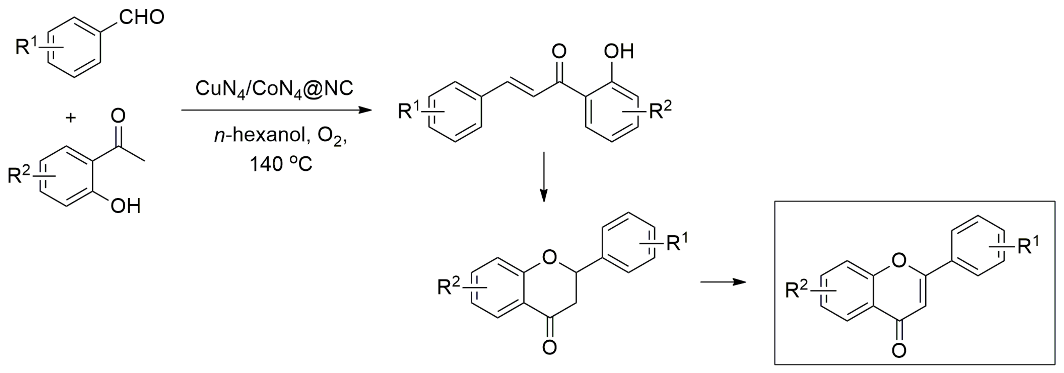 Catalysts 13 00541 sch019