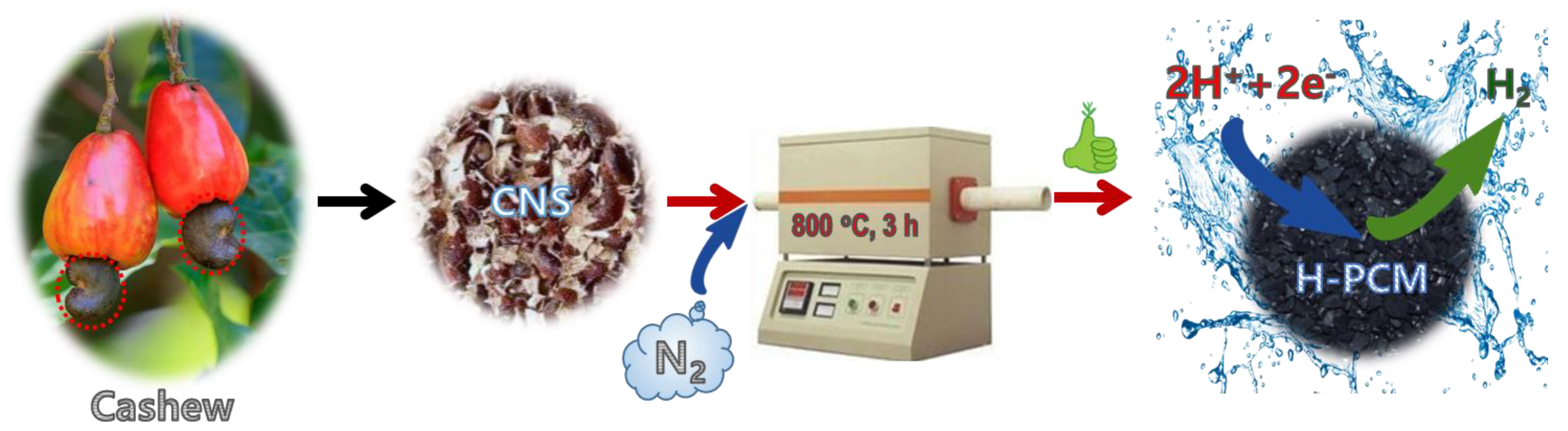 Catalysts 13 00542 sch001