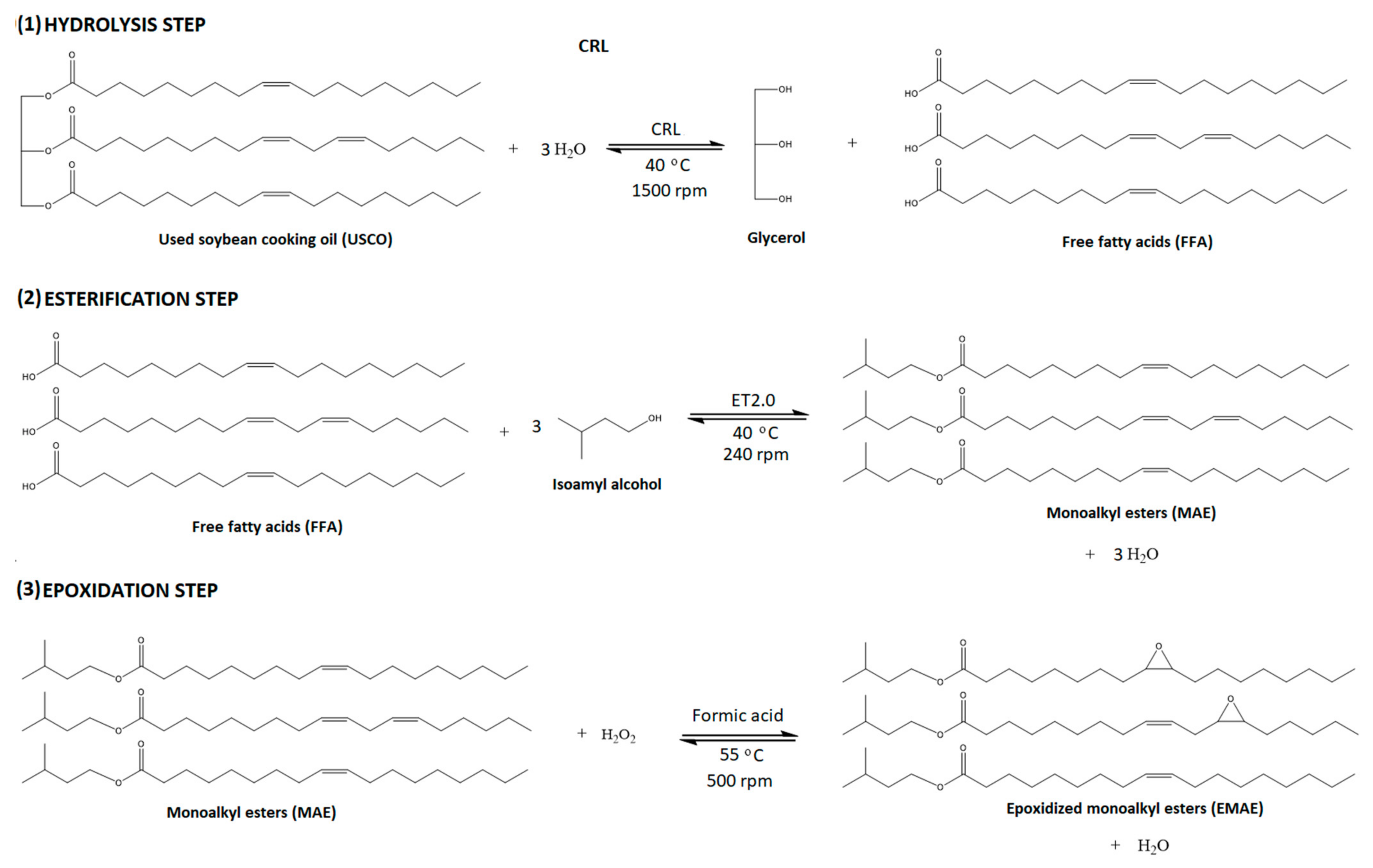 Catalysts 13 00543 g005