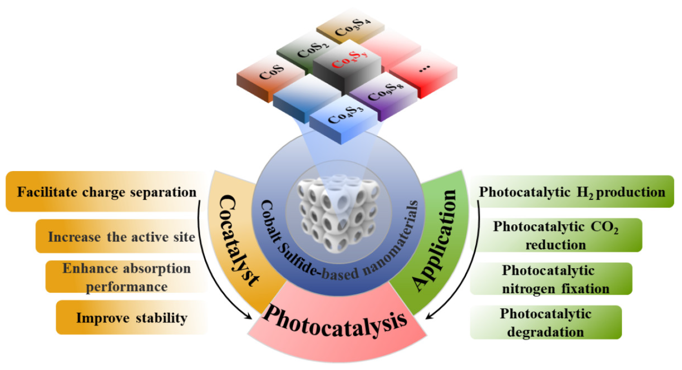 Catalysts 13 00544 g001 Catalysts 13 00544 g001