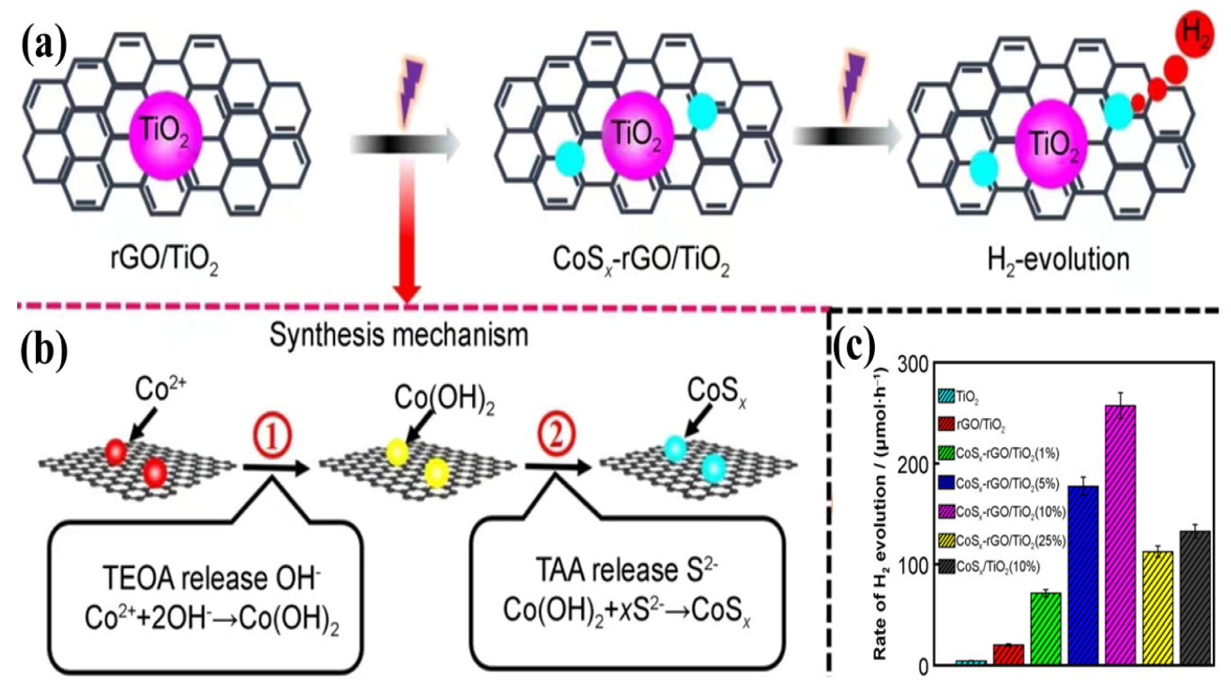 Catalysts 13 00544 g004 Catalysts 13 00544 g004