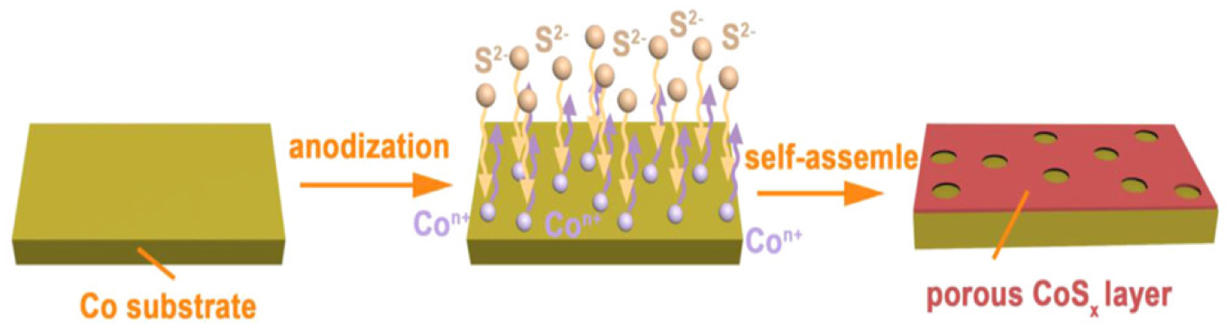Catalysts 13 00544 g005 Catalysts 13 00544 g005