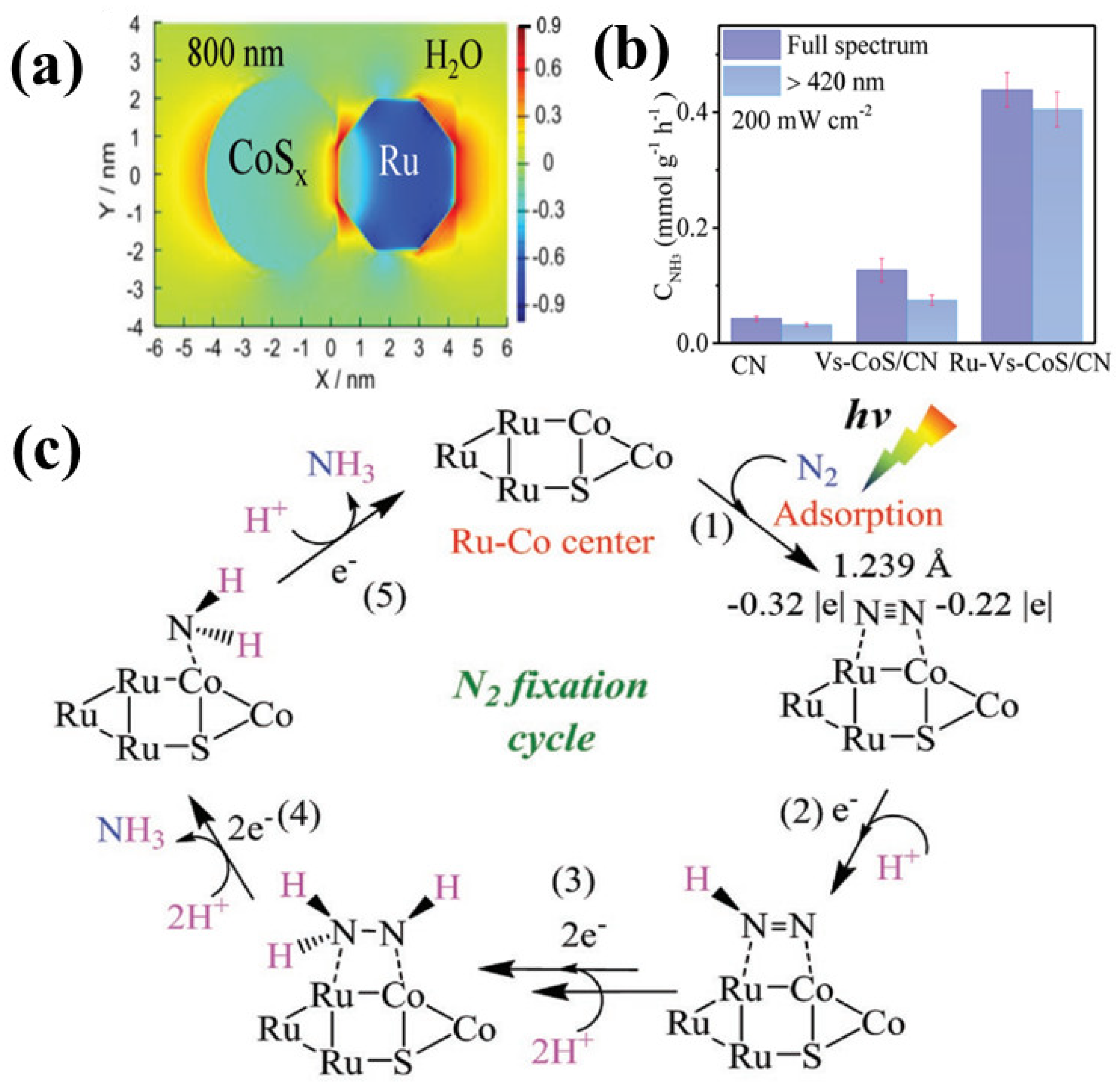 Catalysts 13 00544 g009 Catalysts 13 00544 g009