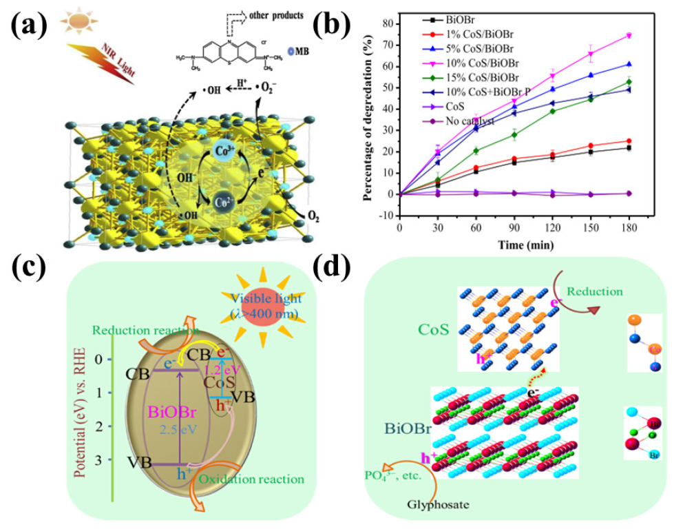 Catalysts 13 00544 g010 Catalysts 13 00544 g010