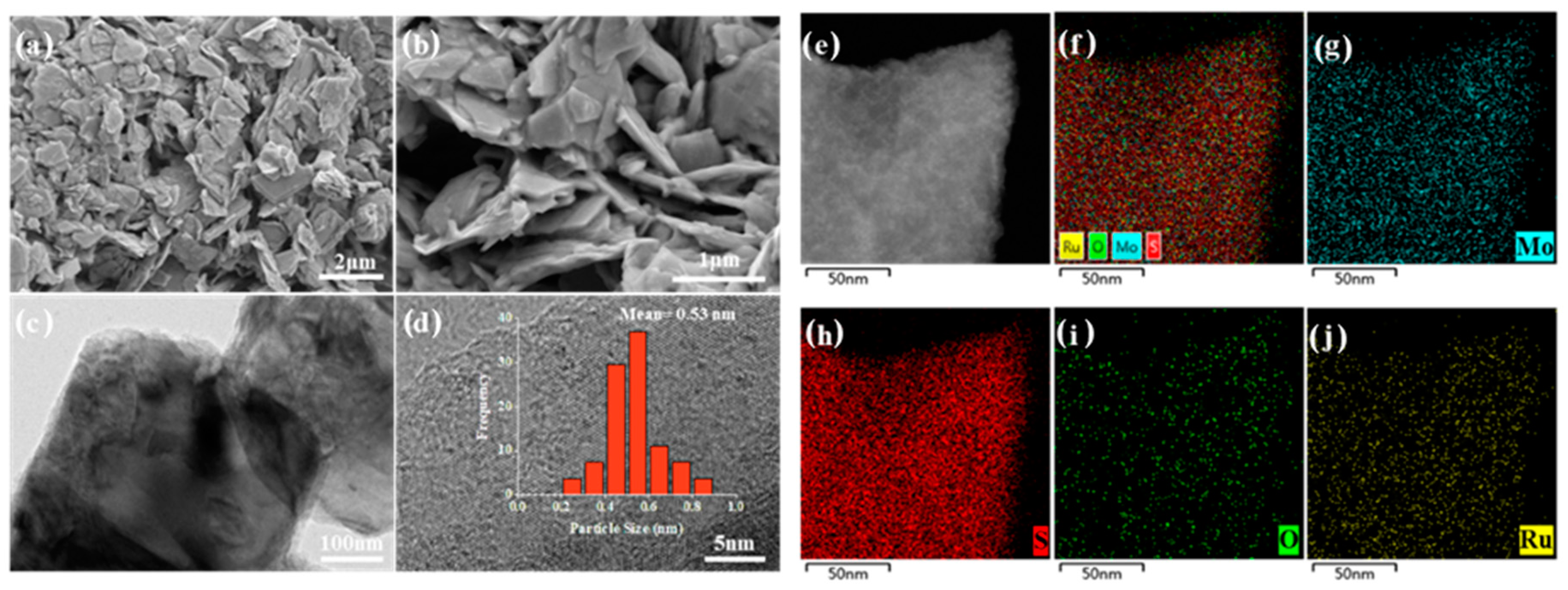 Catalysts 13 00545 g004