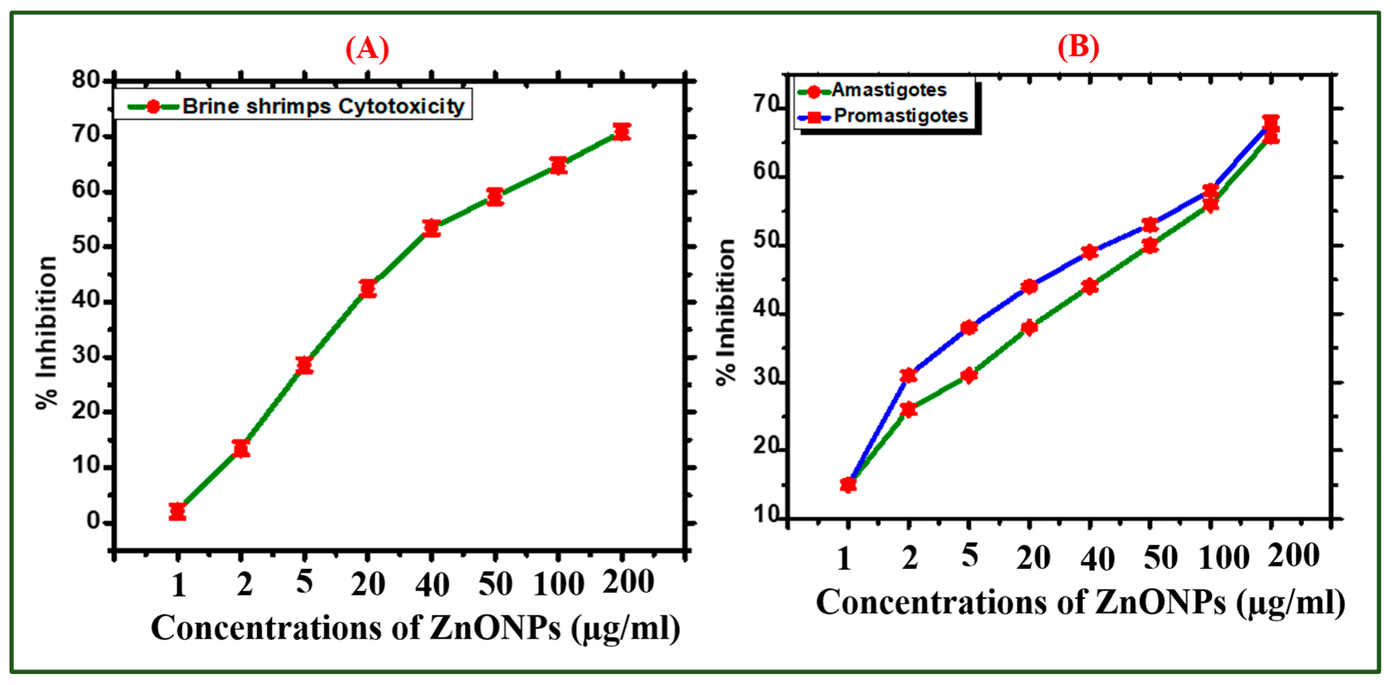 Catalysts 13 00549 g005