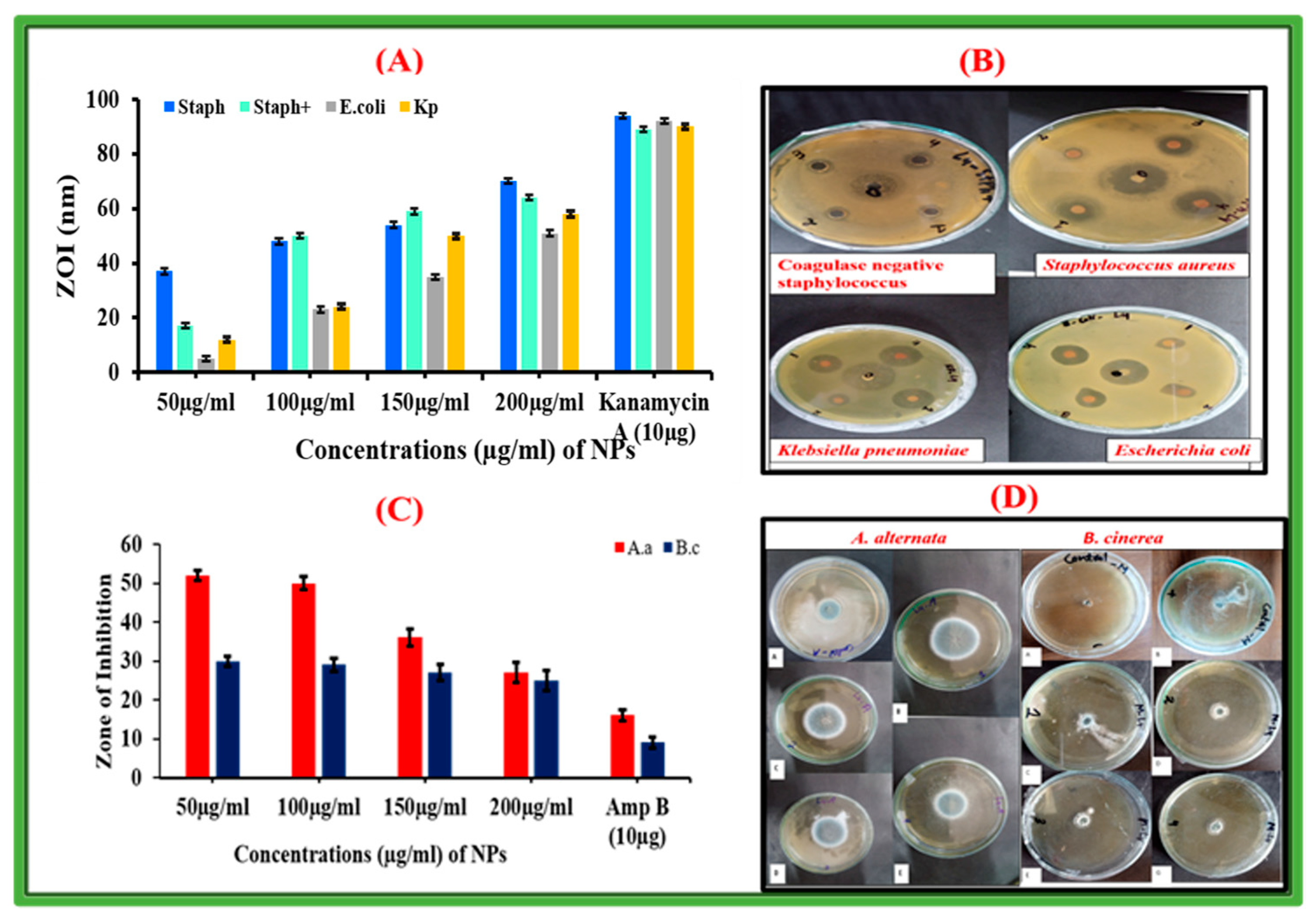 Catalysts 13 00549 g009