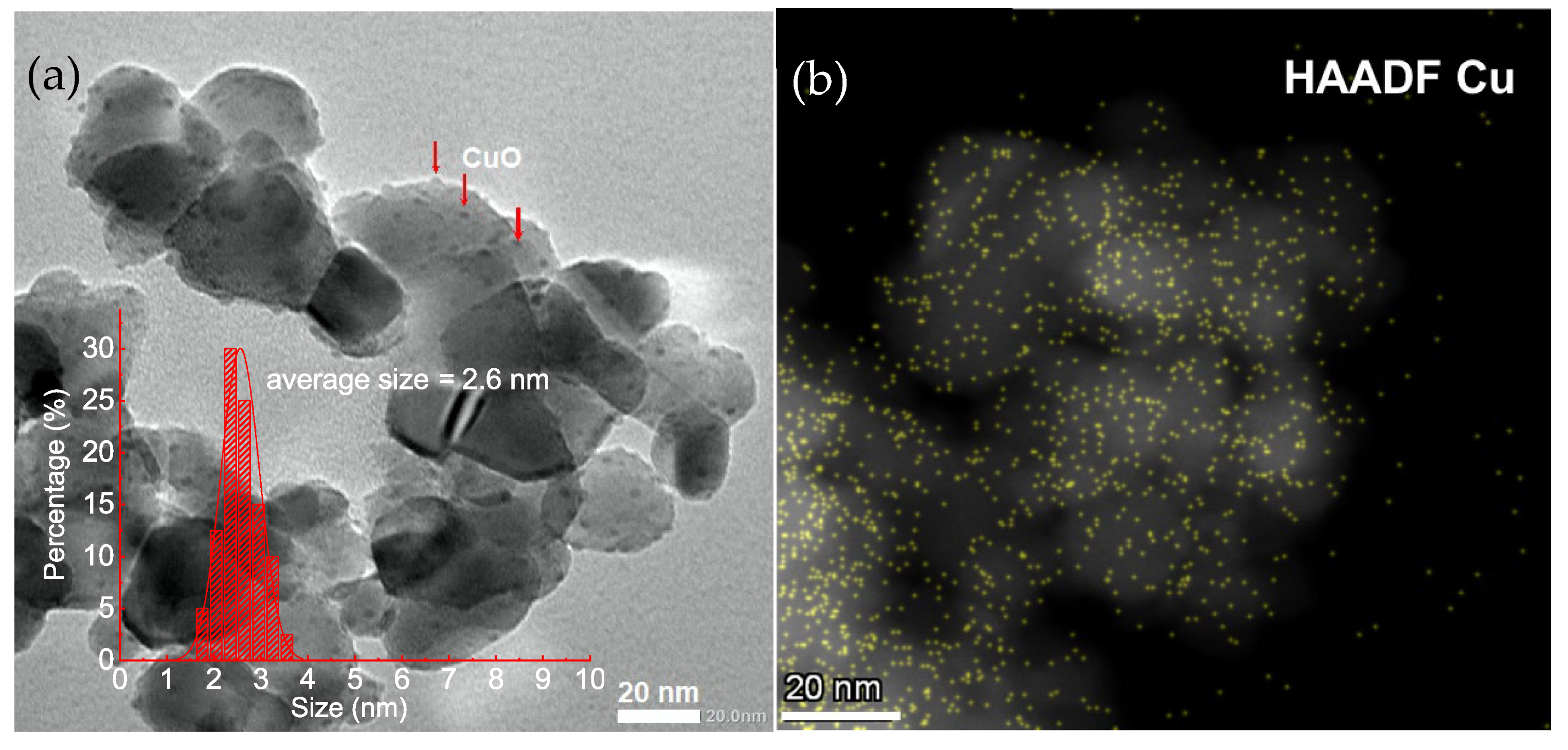 Catalysts 13 00550 g001 Catalysts 13 00550 g001