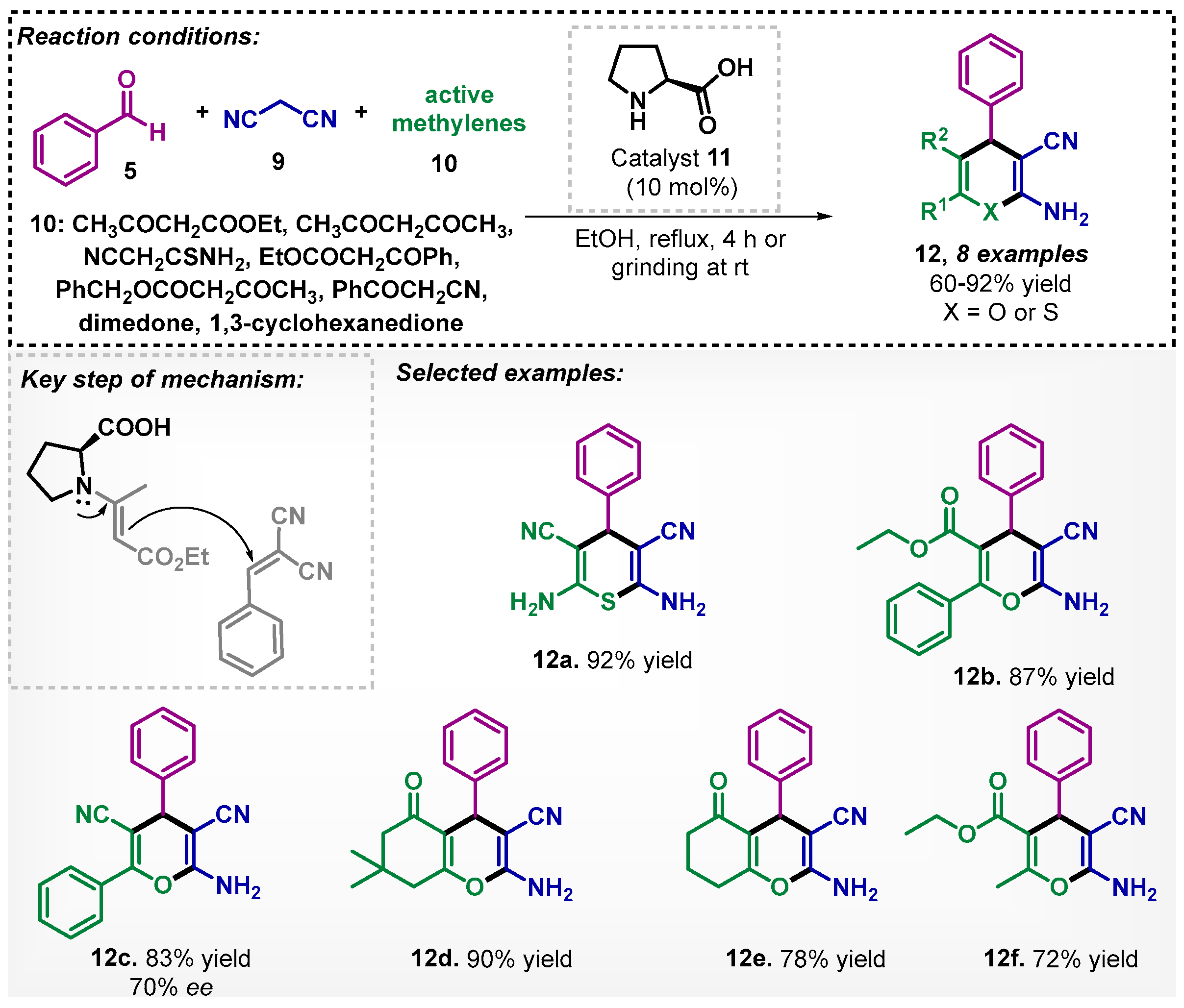 Catalysts 13 00553 sch003