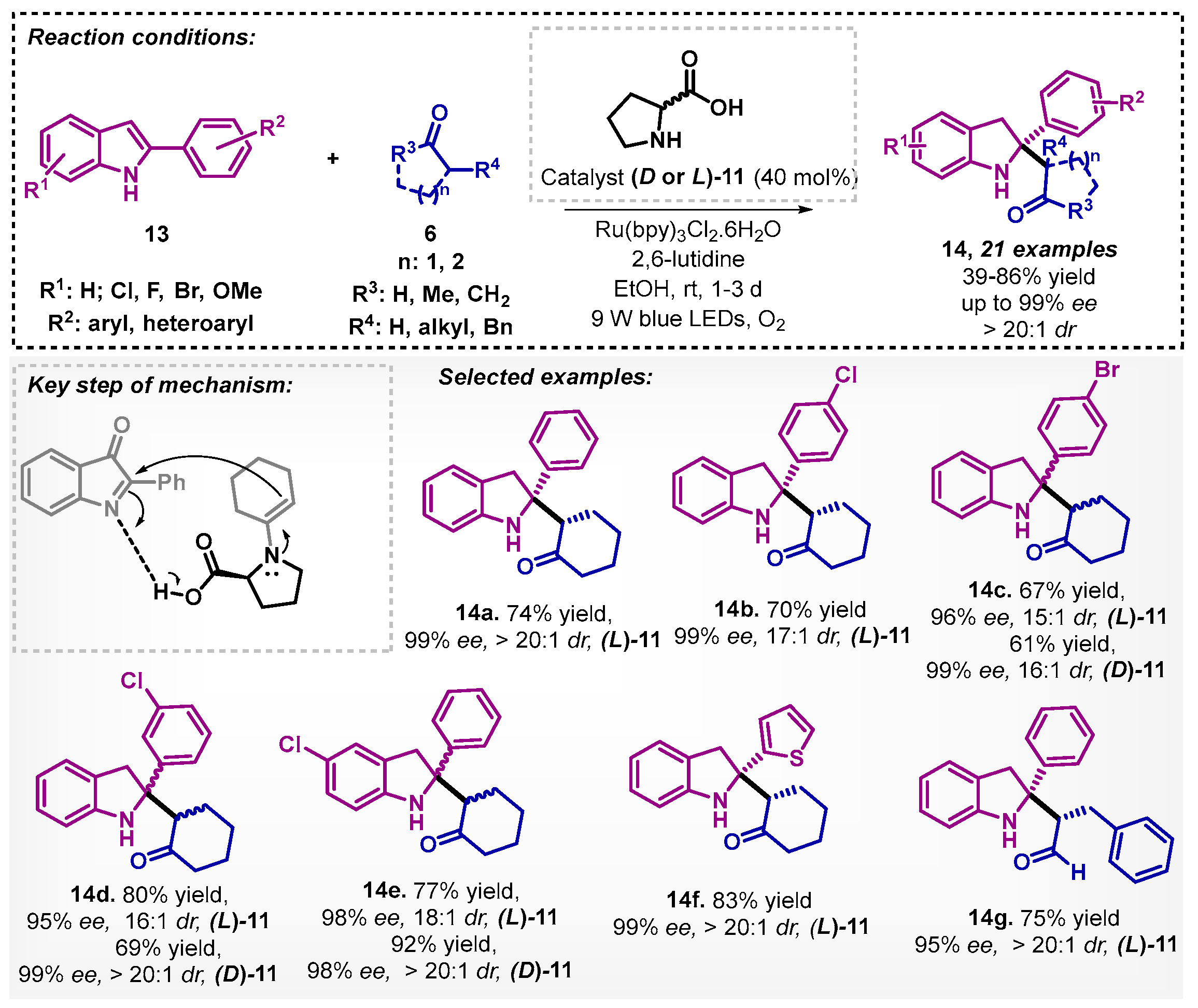 Catalysts 13 00553 sch004