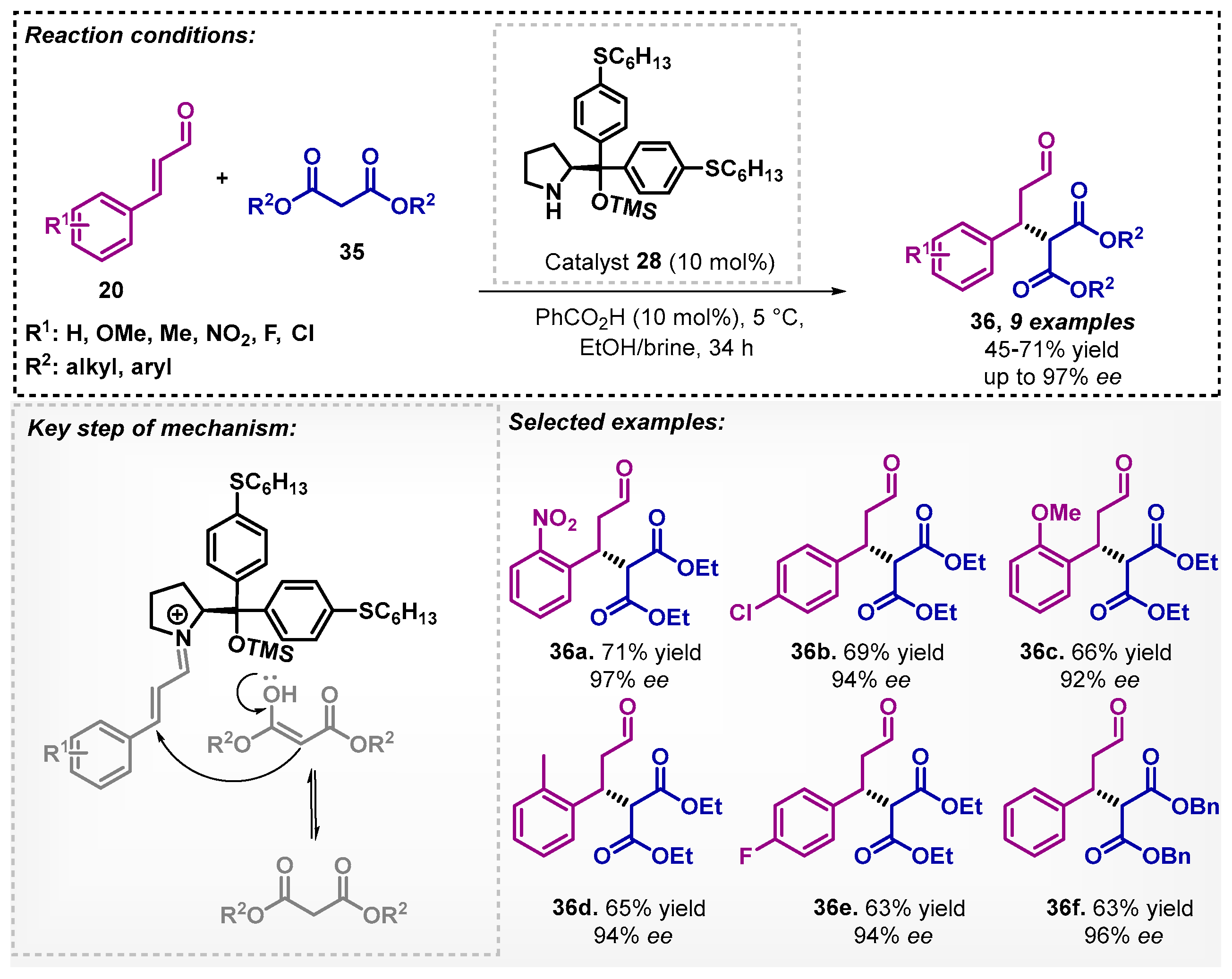 Catalysts 13 00553 sch010