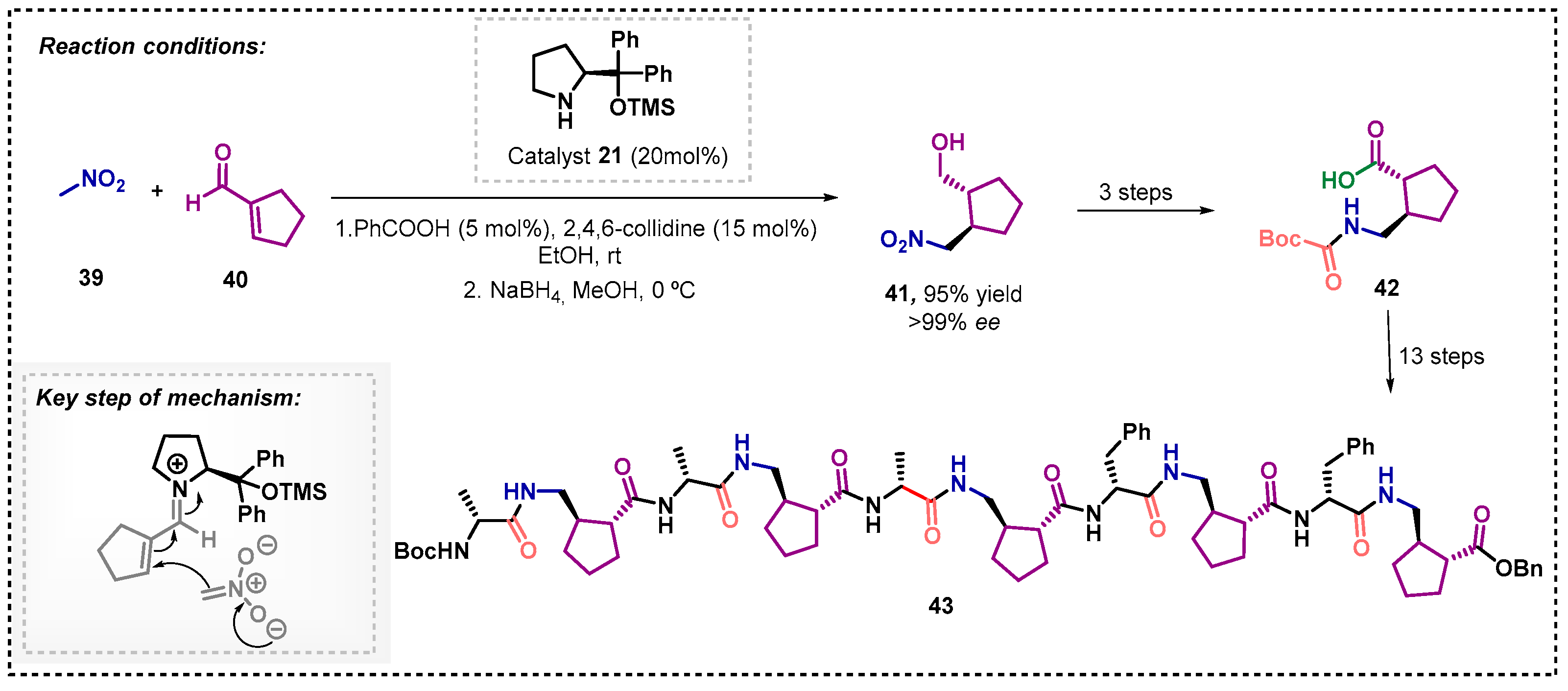 Catalysts 13 00553 sch012