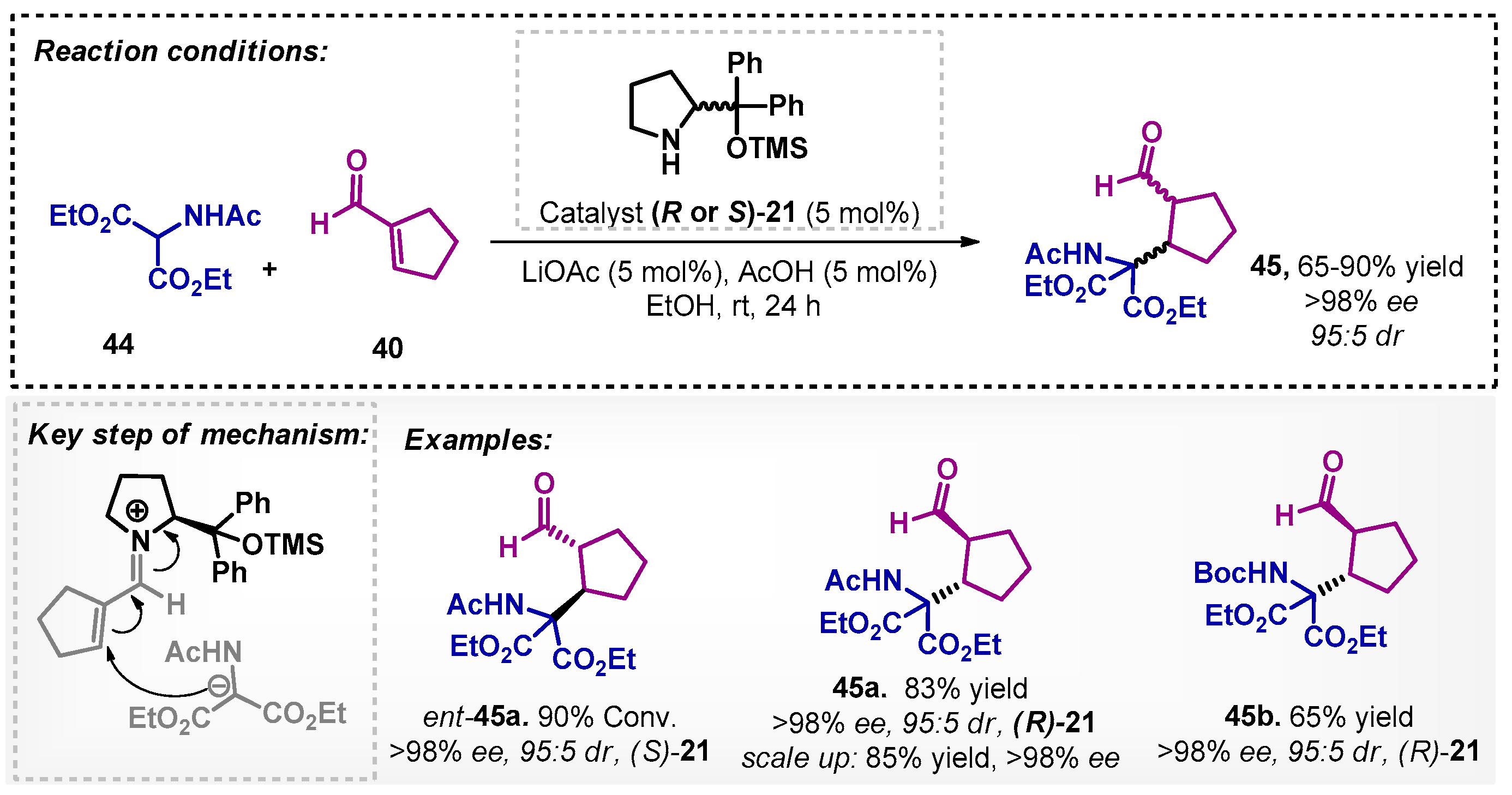Catalysts 13 00553 sch013