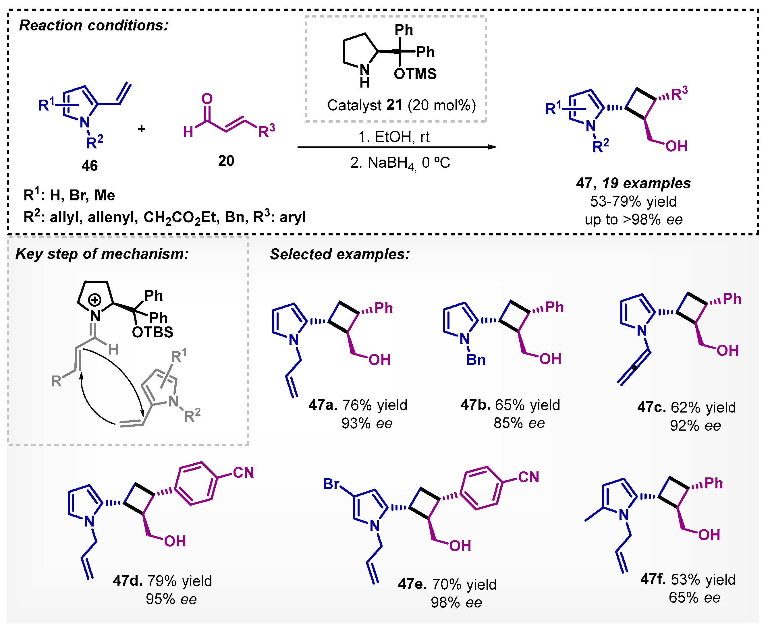 Catalysts 13 00553 sch014
