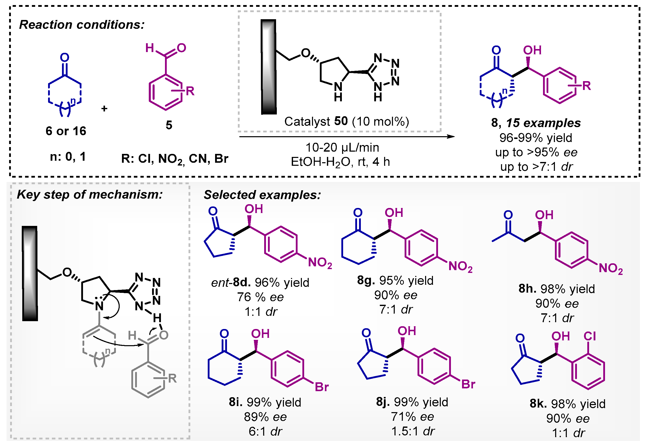 Catalysts 13 00553 sch016