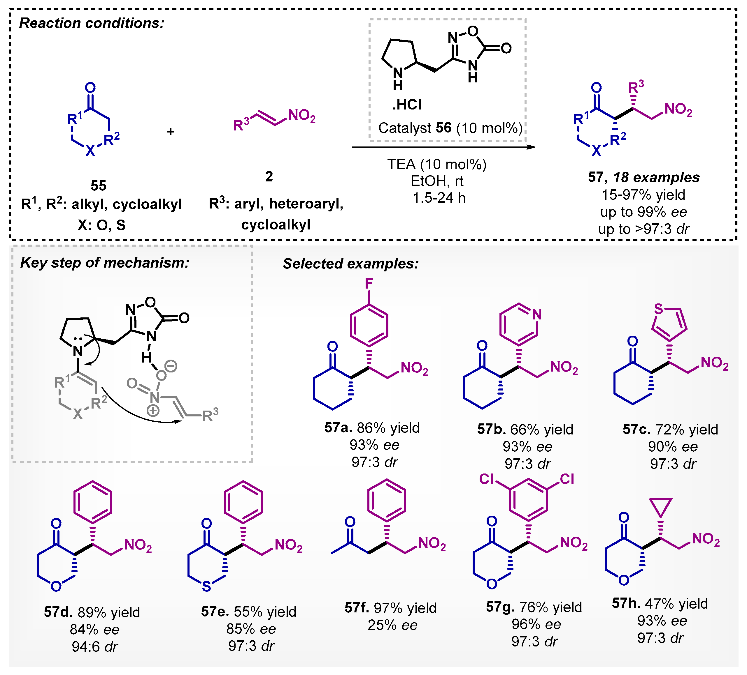 Catalysts 13 00553 sch018