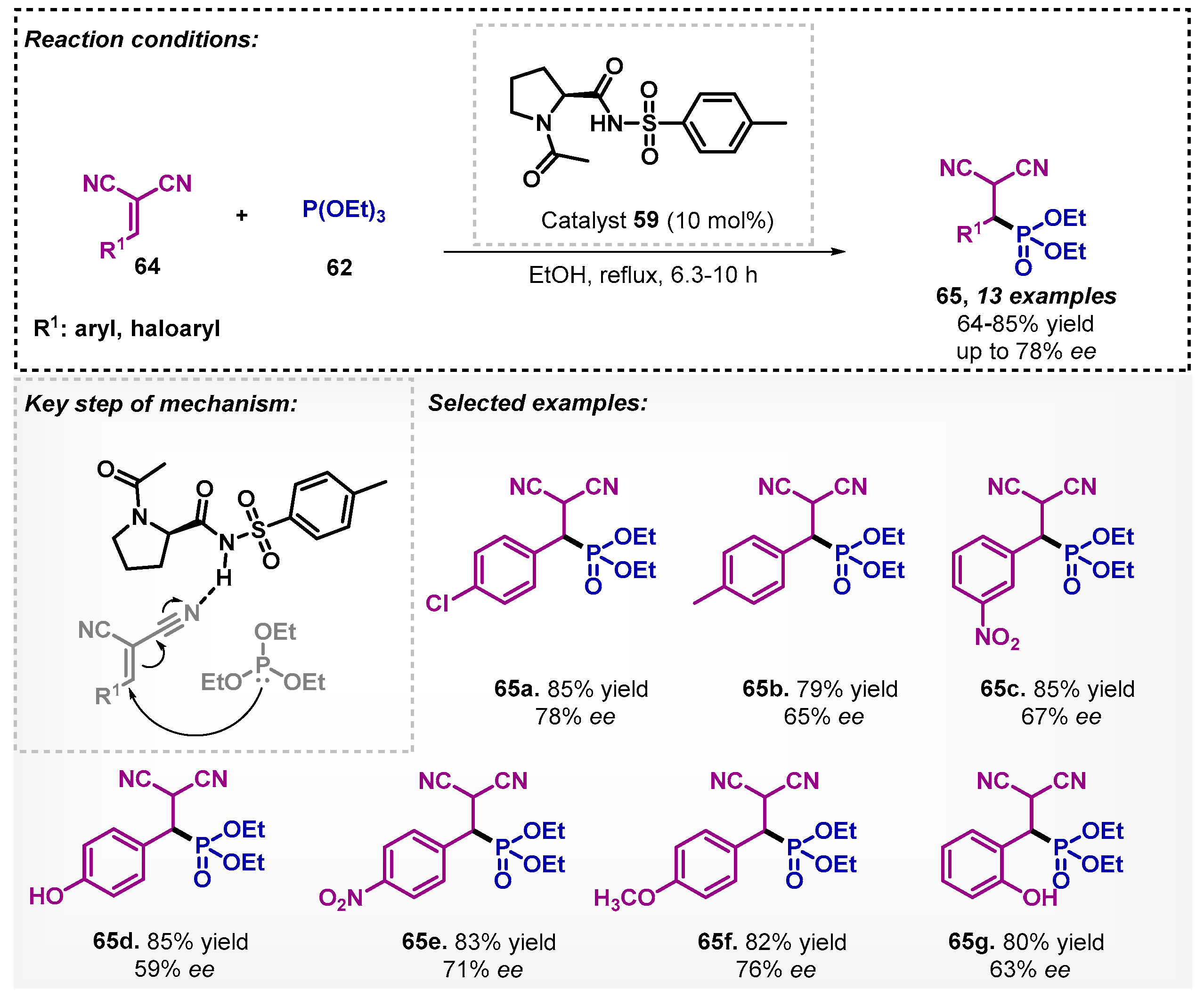 Catalysts 13 00553 sch021
