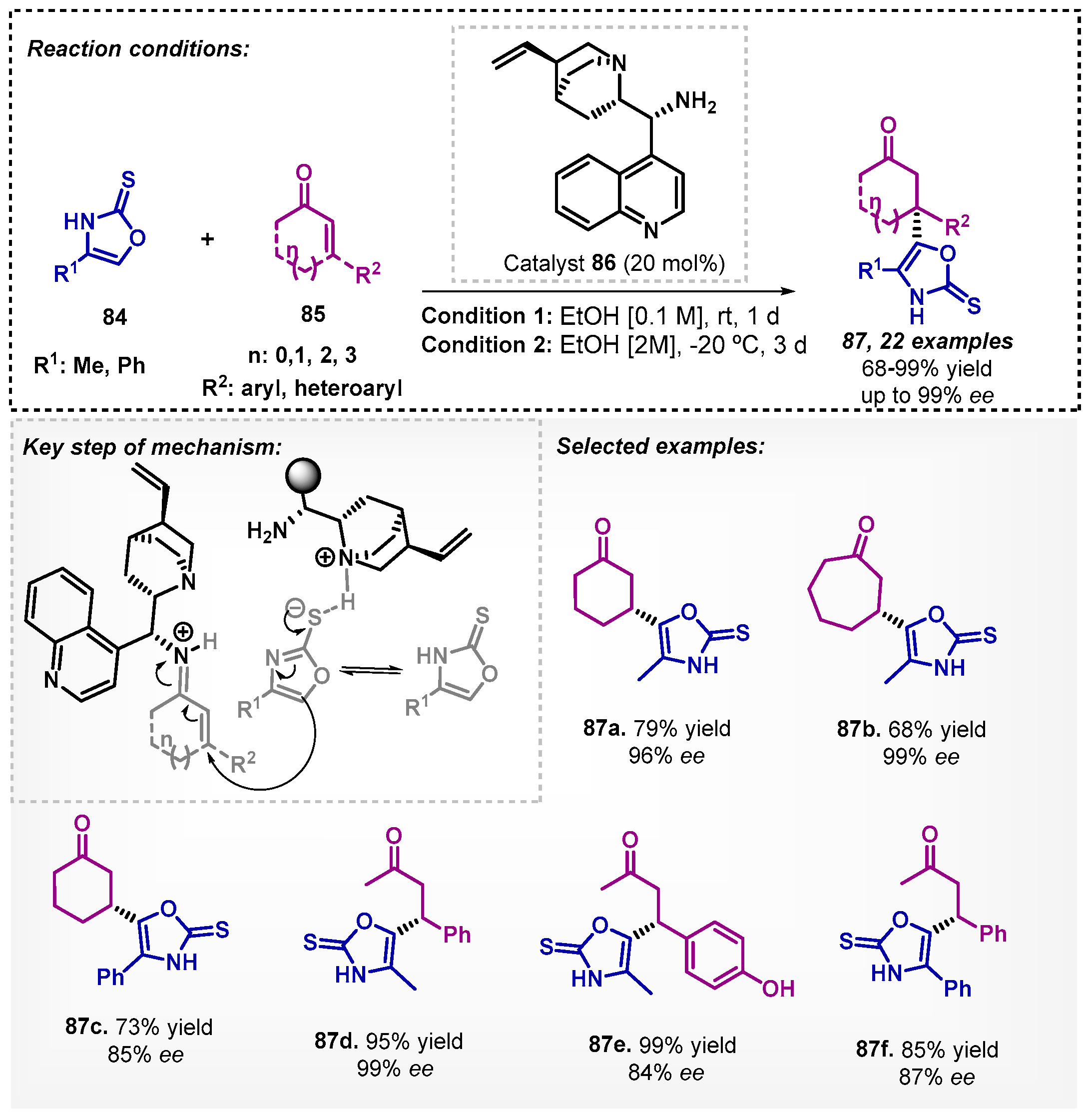 Catalysts 13 00553 sch029