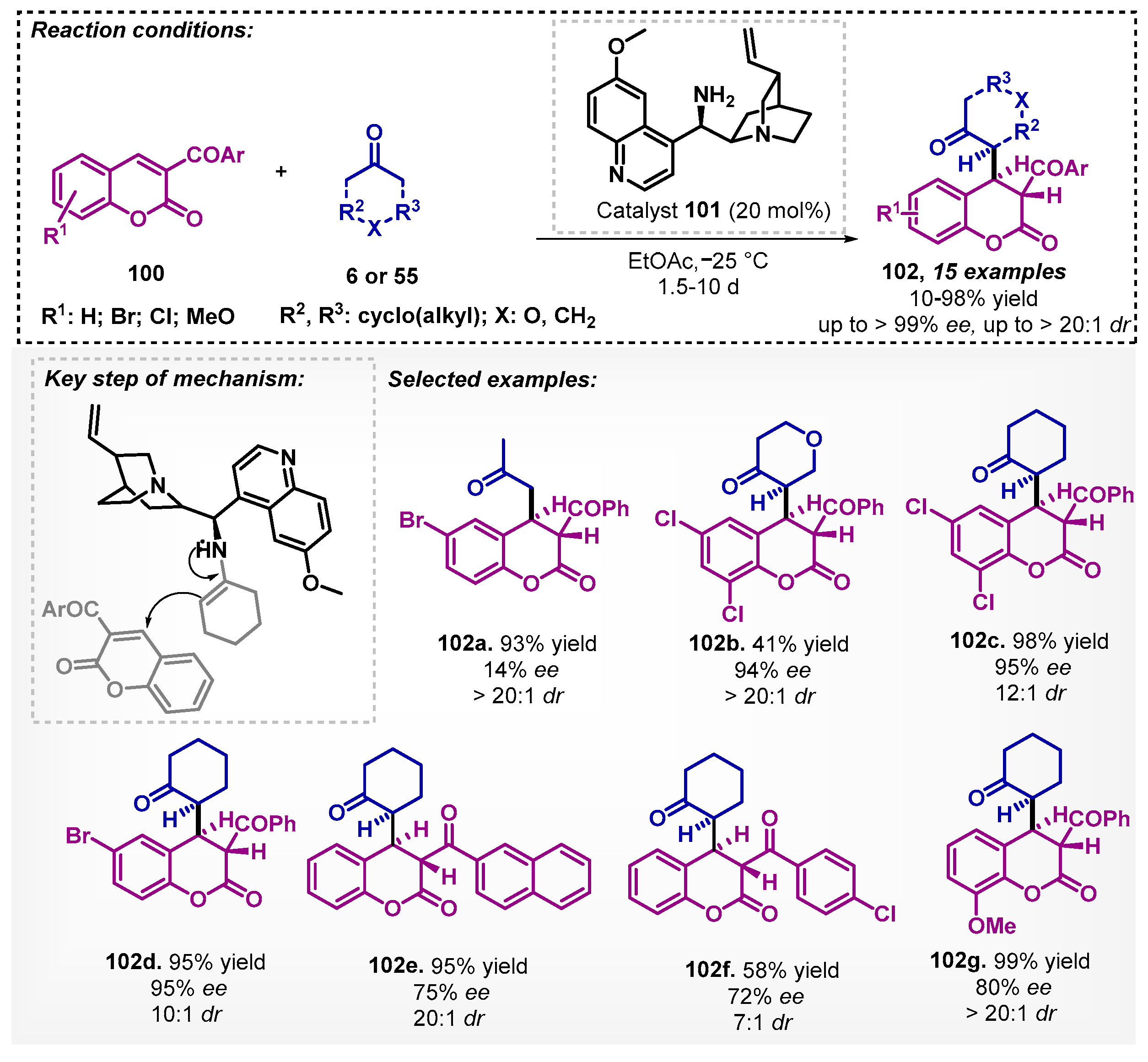 Catalysts 13 00553 sch035