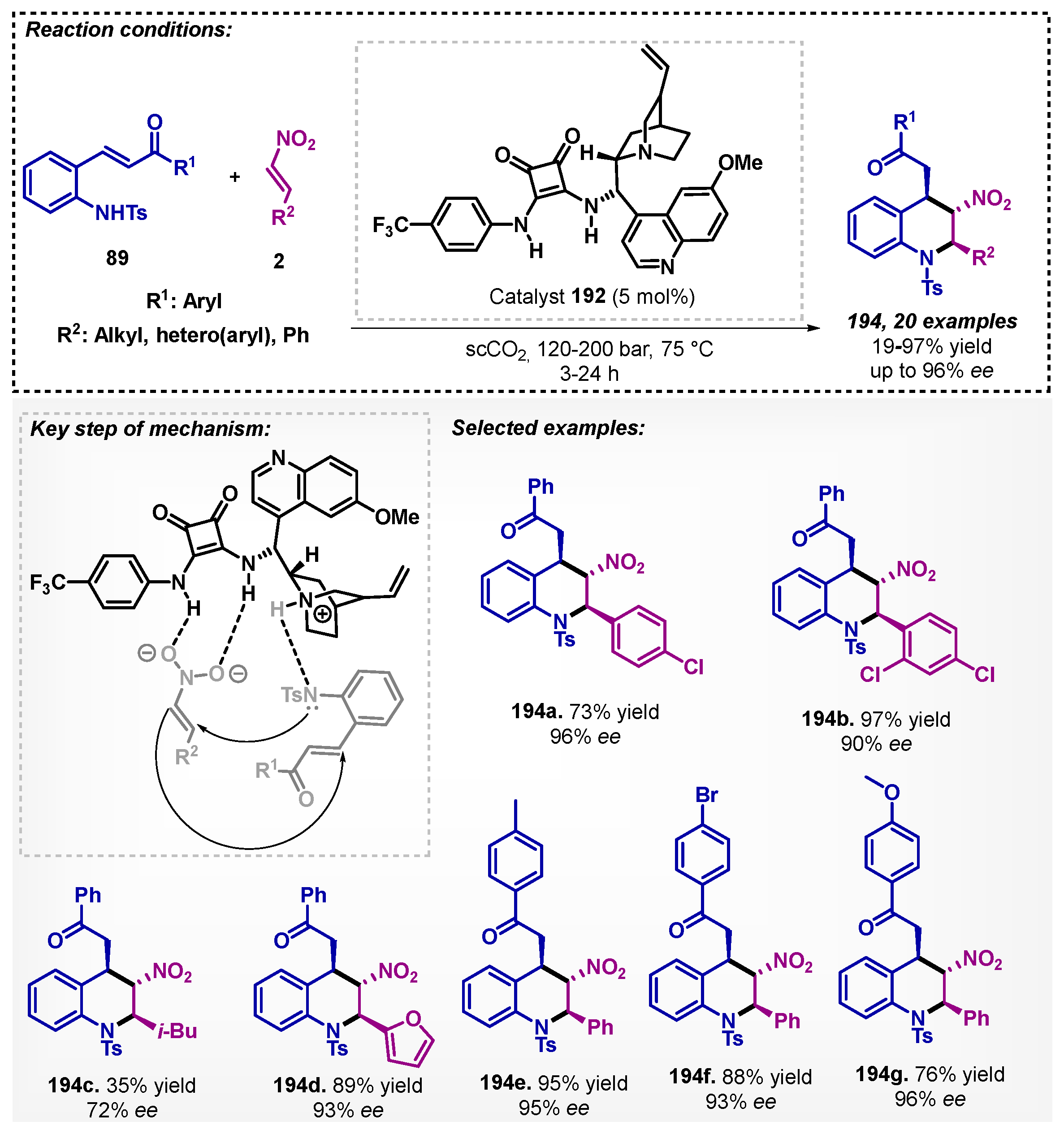 Catalysts 13 00553 sch068