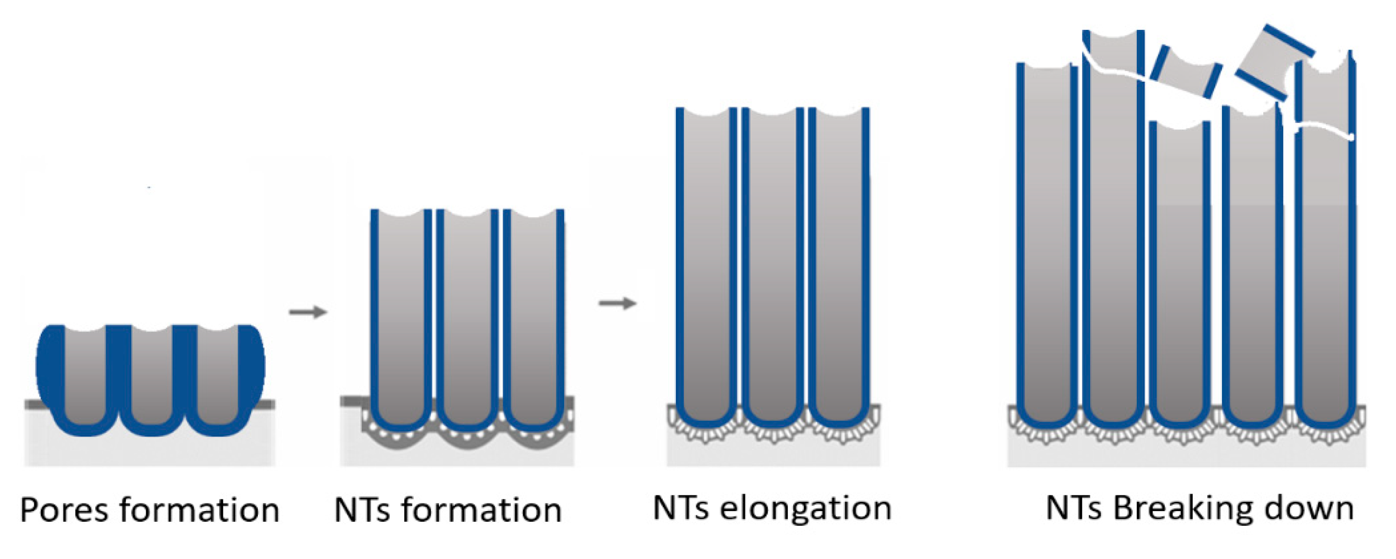 Catalysts 13 00558 sch001