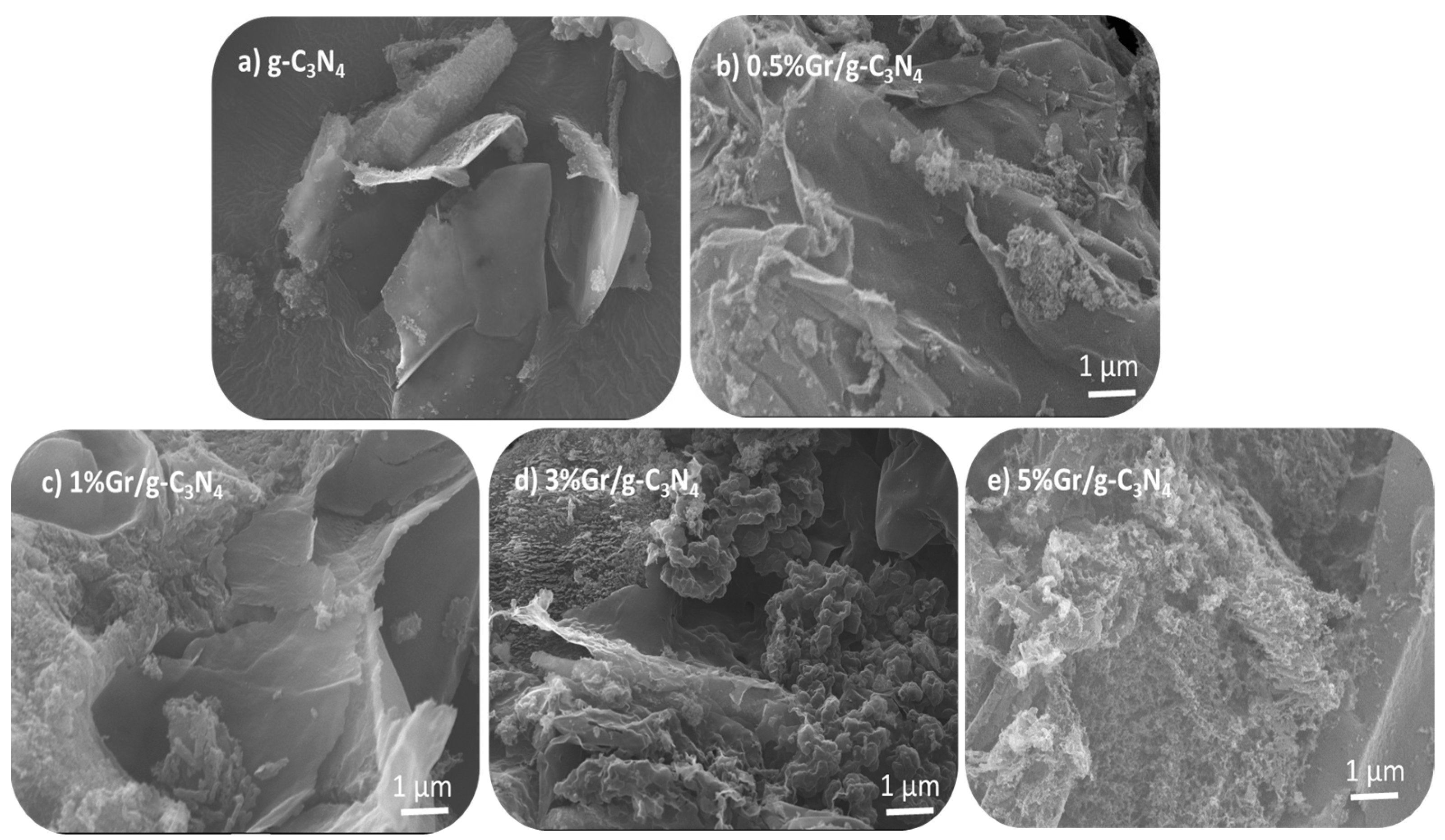 Catalysts 13 00560 g002