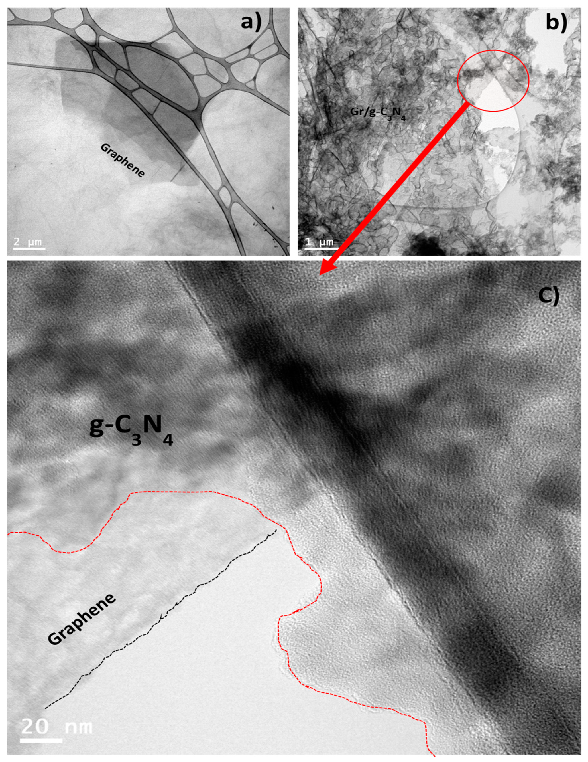 Catalysts 13 00560 g004