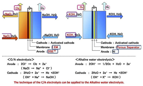 Catalysts 13 00562 g002