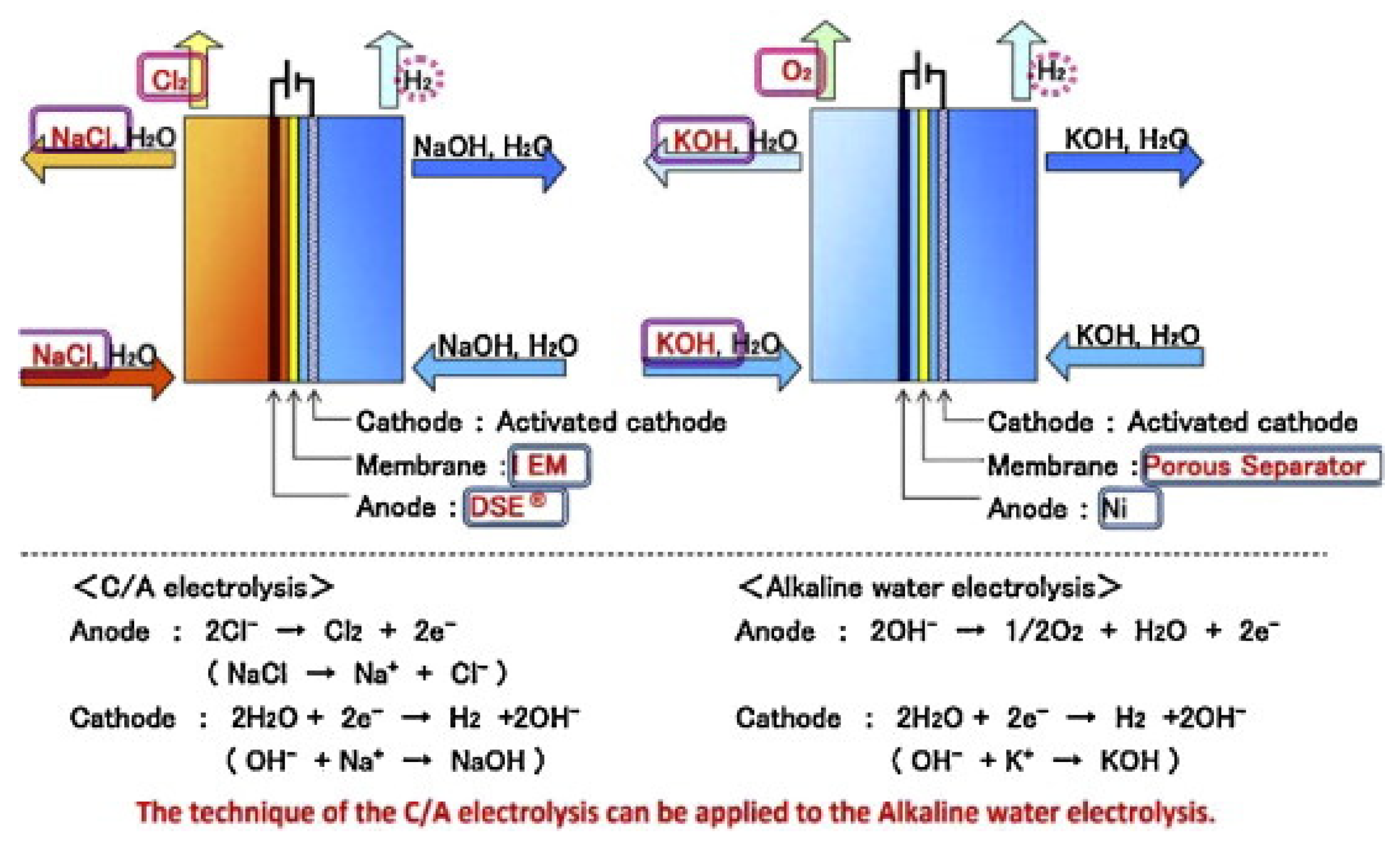 Catalysts 13 00562 g002