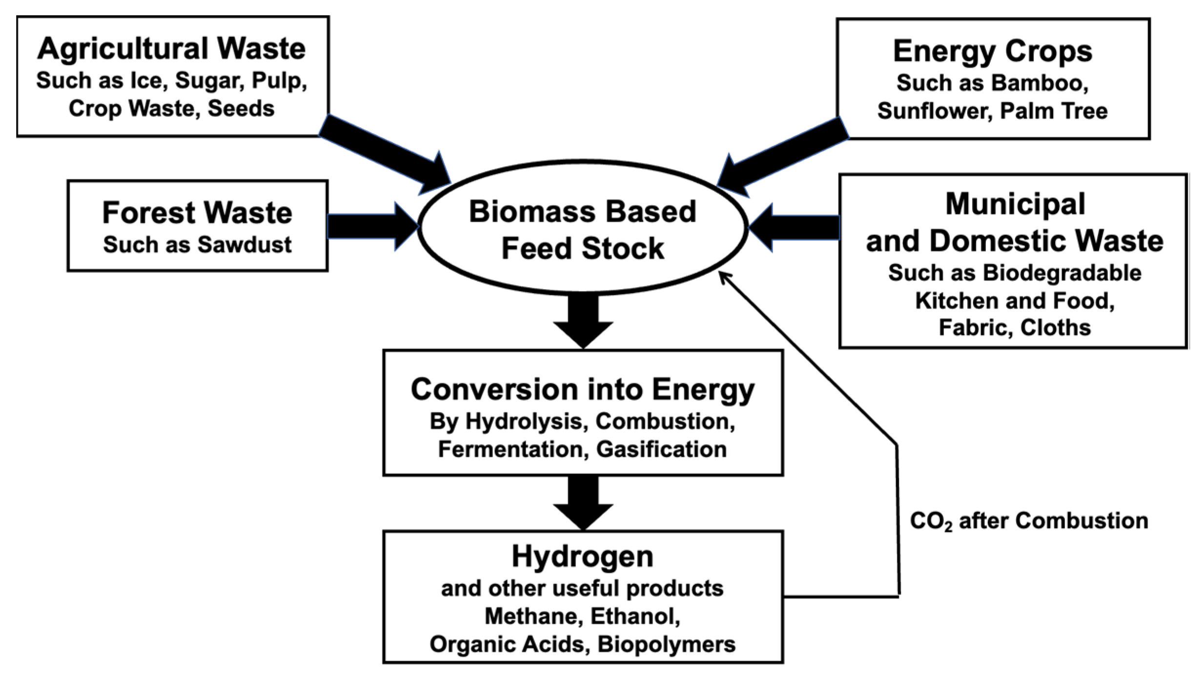 Catalysts 13 00562 g007