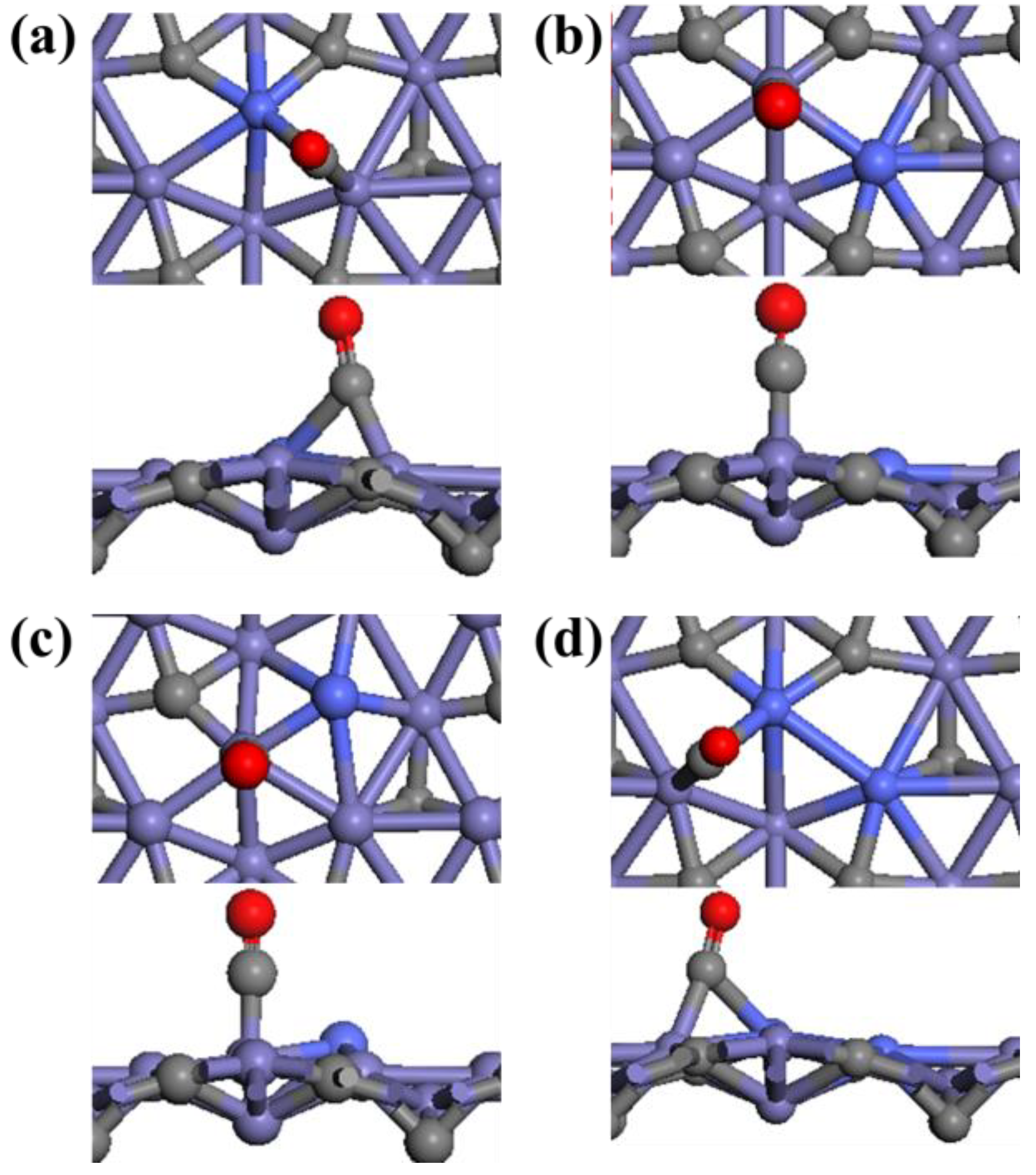 Catalysts 13 00564 g005